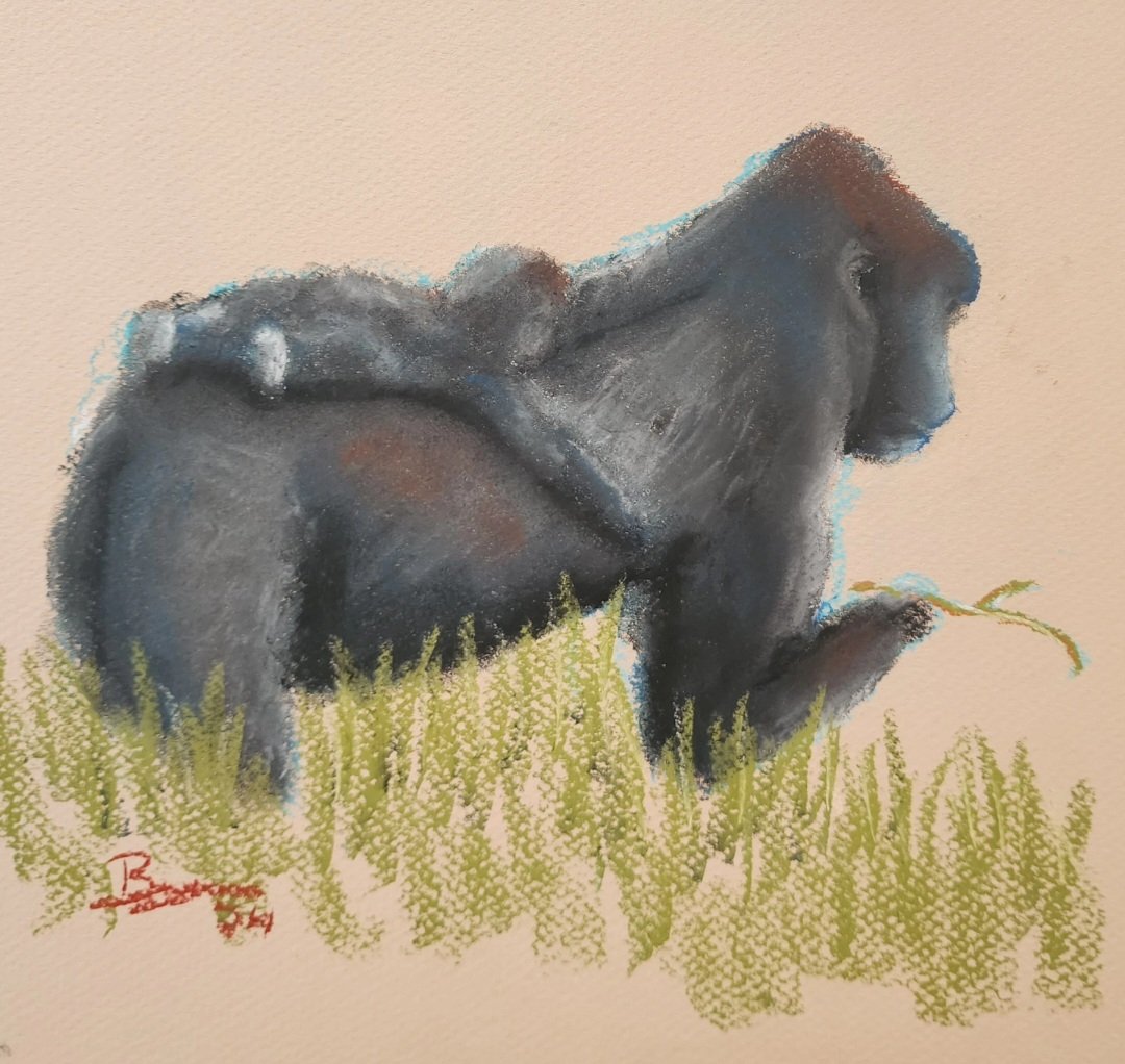 Atlanta zoo, Willie B. Jr and Willie B the 3rd, chalk pastel 
