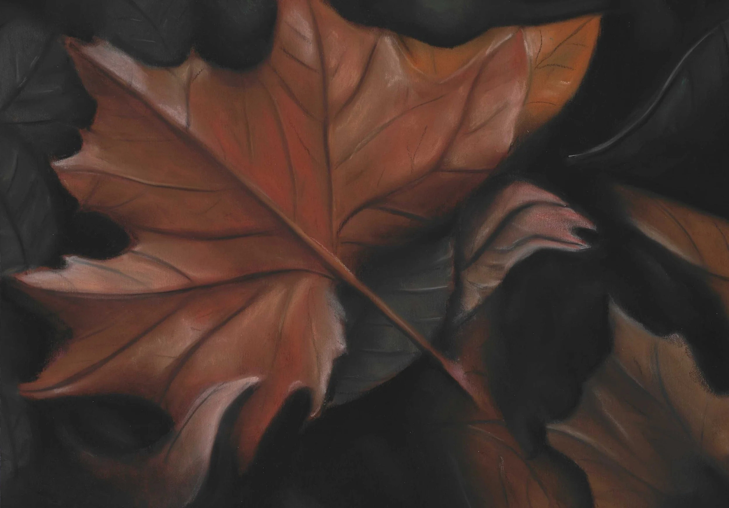 Chalk Pastels 9x12in on UArt Paper