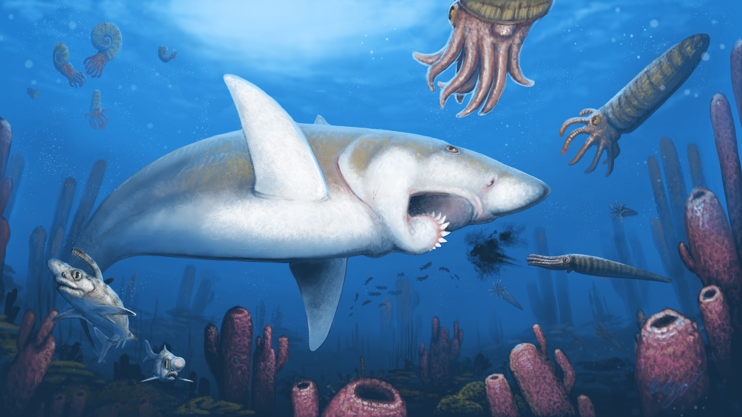 Painting depicting Helicprion and other species present in the Guadalupe Reef formation across Texas and New Mexico.