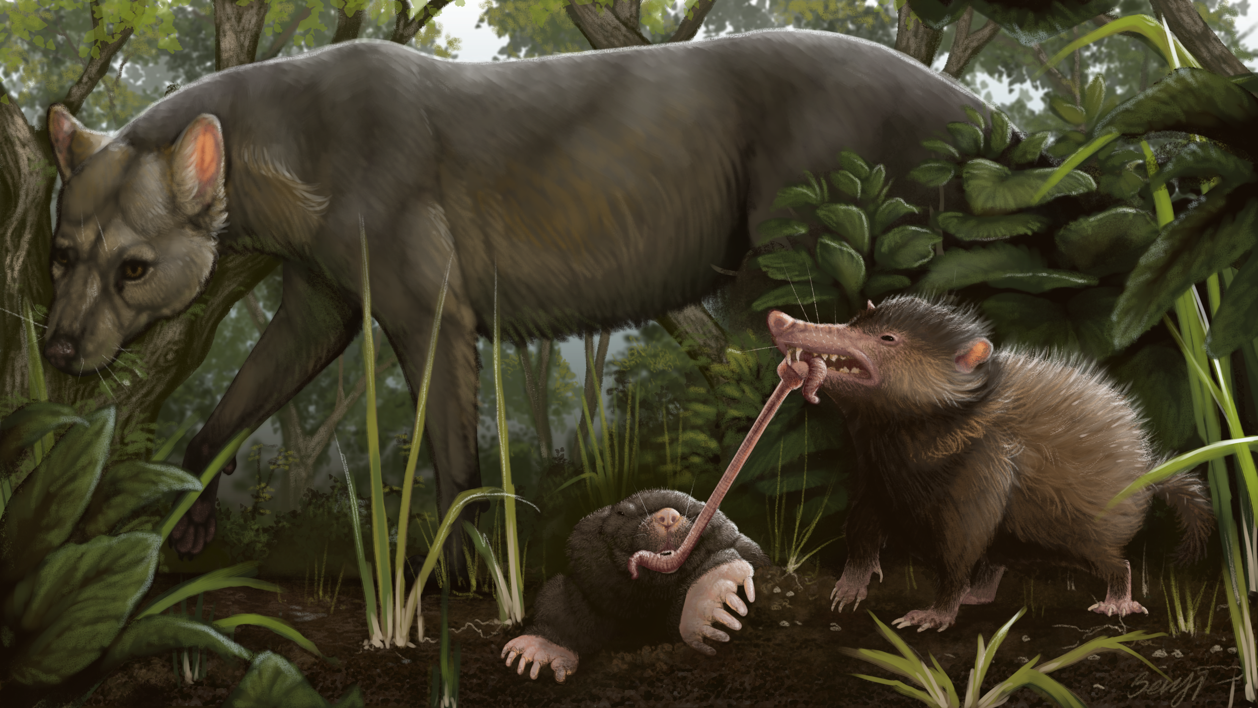 Prehistoric mammals fighting over a juicy feast to celebrate the 50th anniversary of the John Day Fossil Beds, OR
