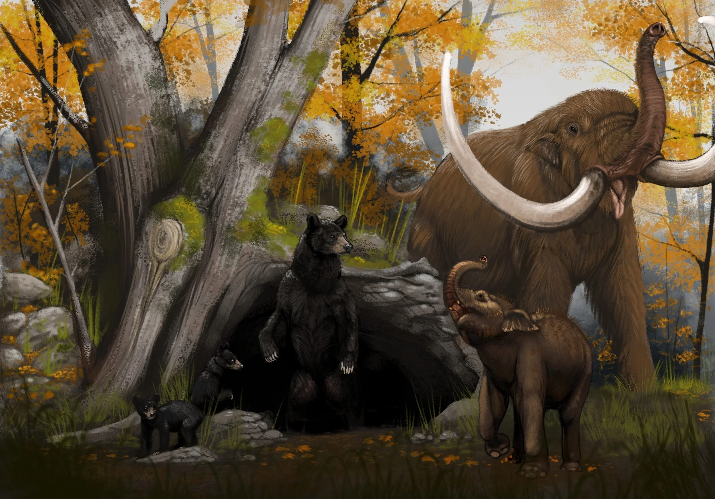 Cumberland Cave Bear 2.jpg