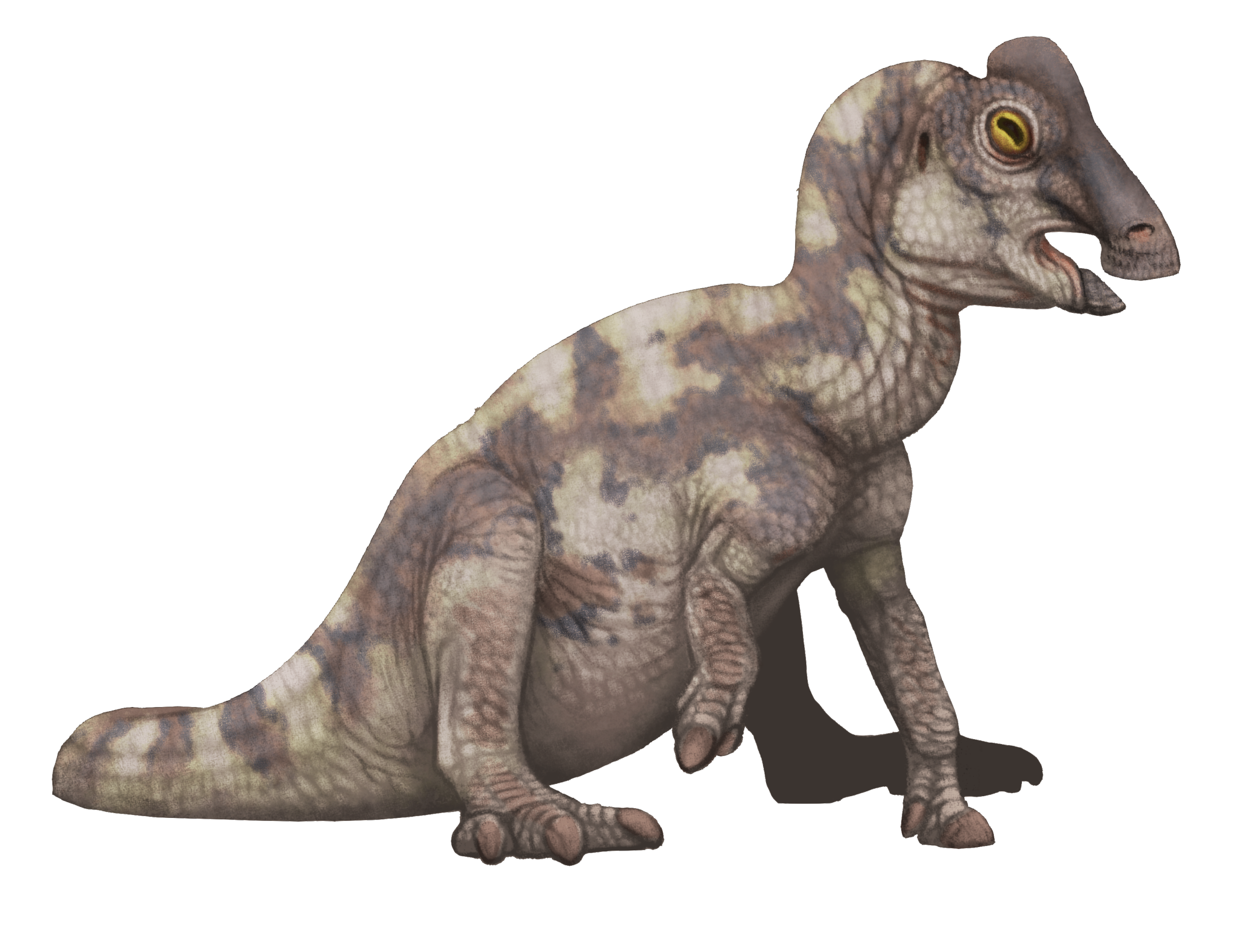 Travelling Exhibitions