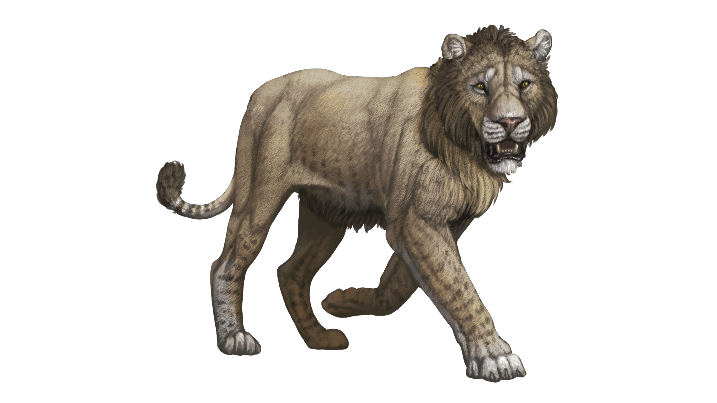 Panthera atrox