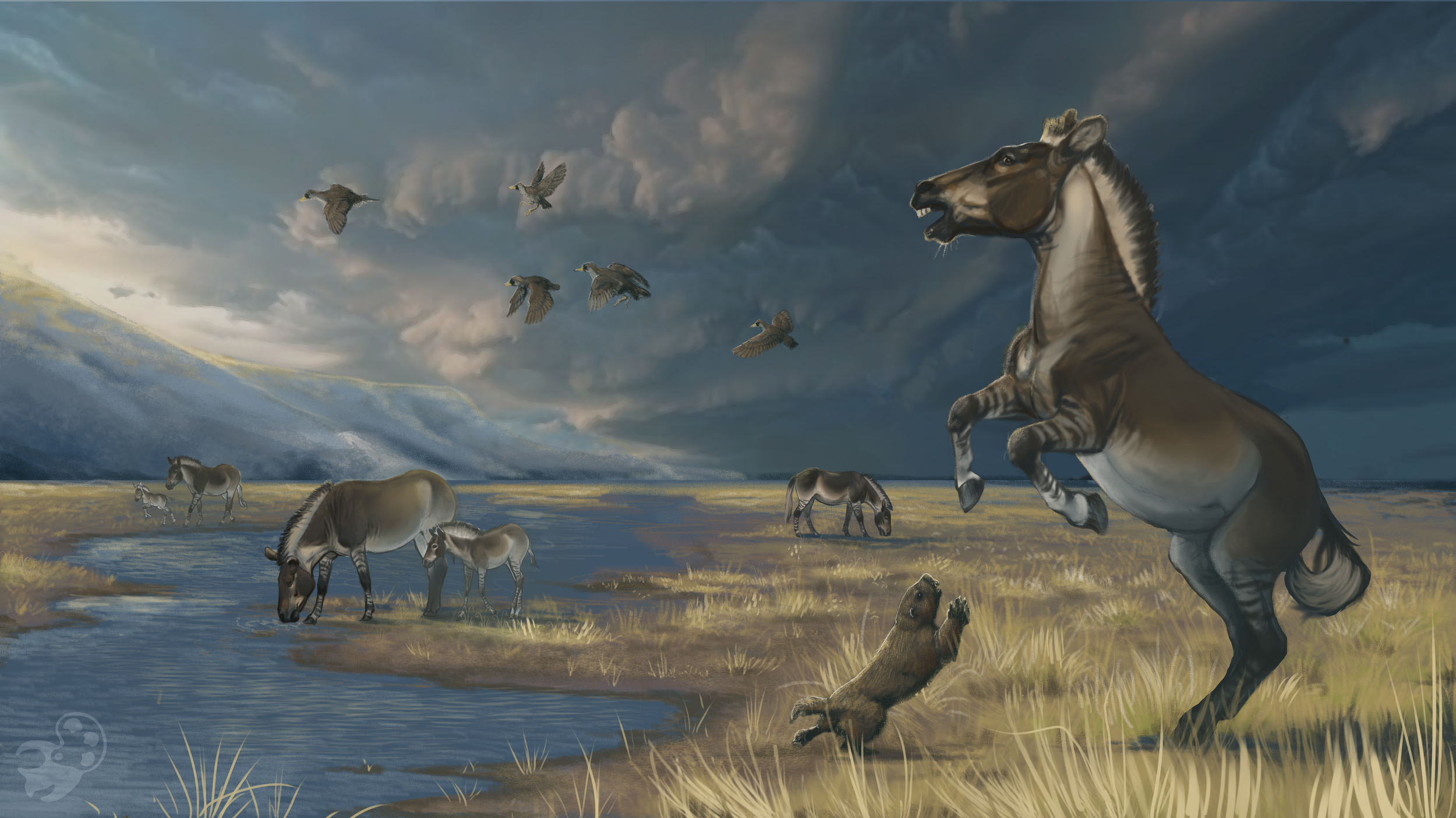 Hagerman's horse of the Hagerman Fossil Beds, ID