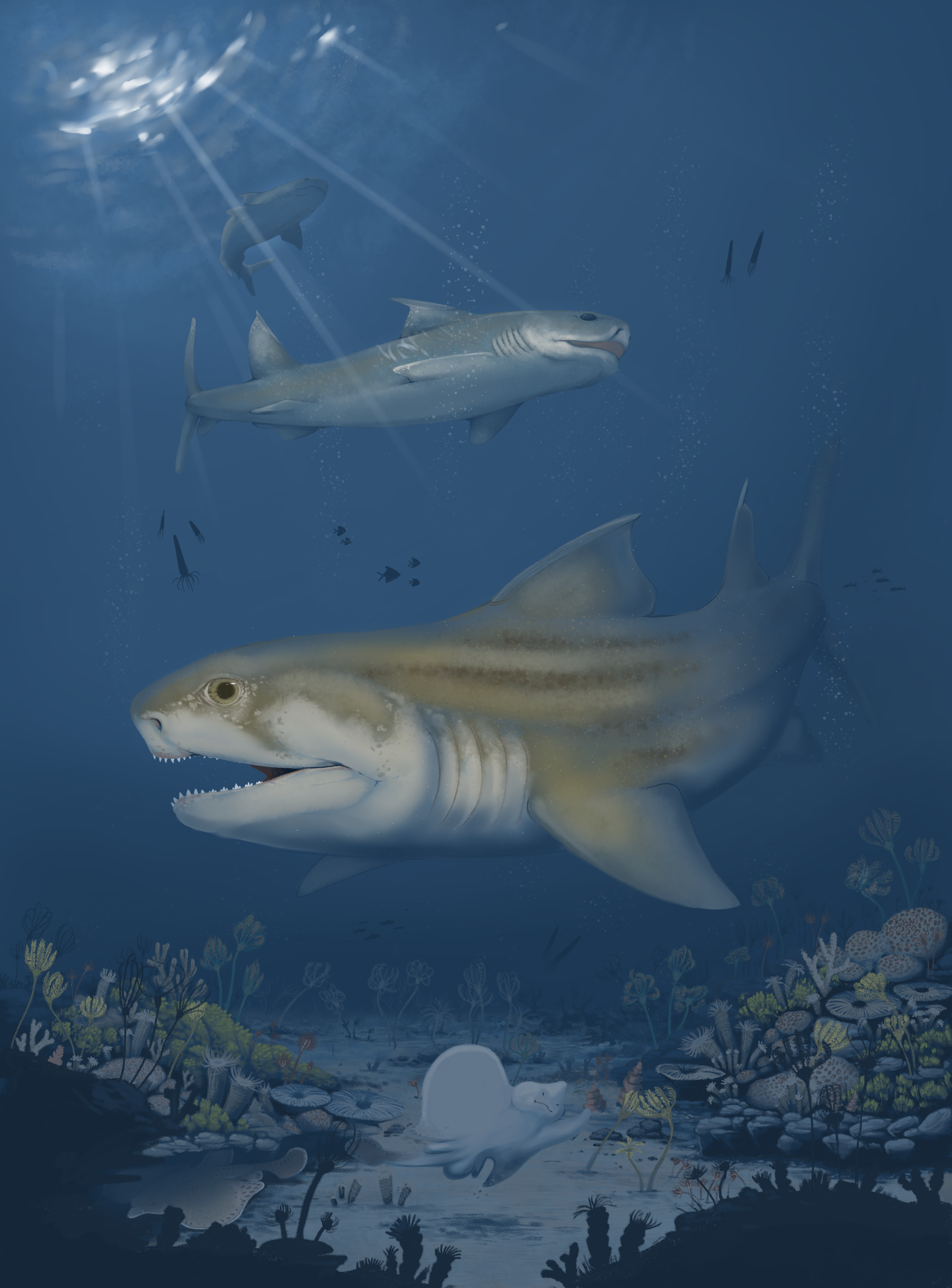Trimbles_Glikmanius_final.png