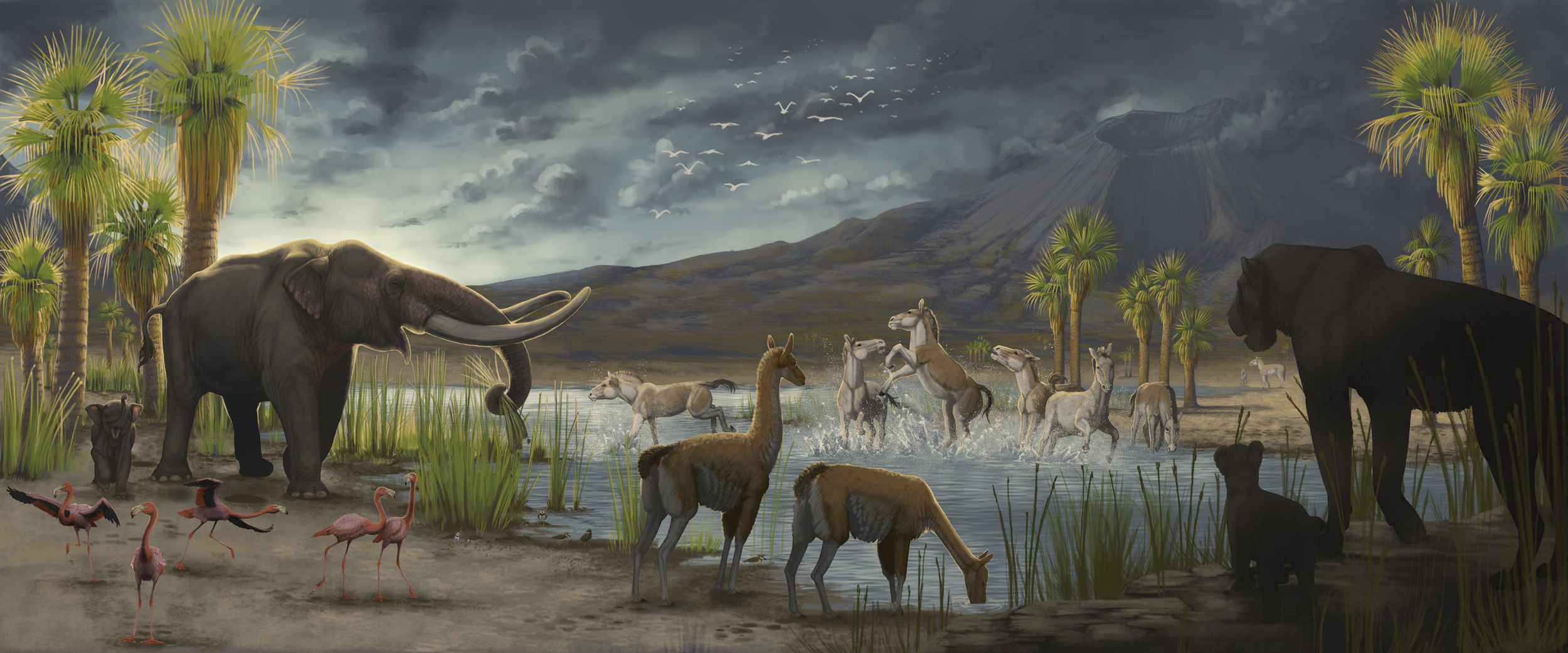 48" Mural depicting the faunal life of Copper Canyon, CA
