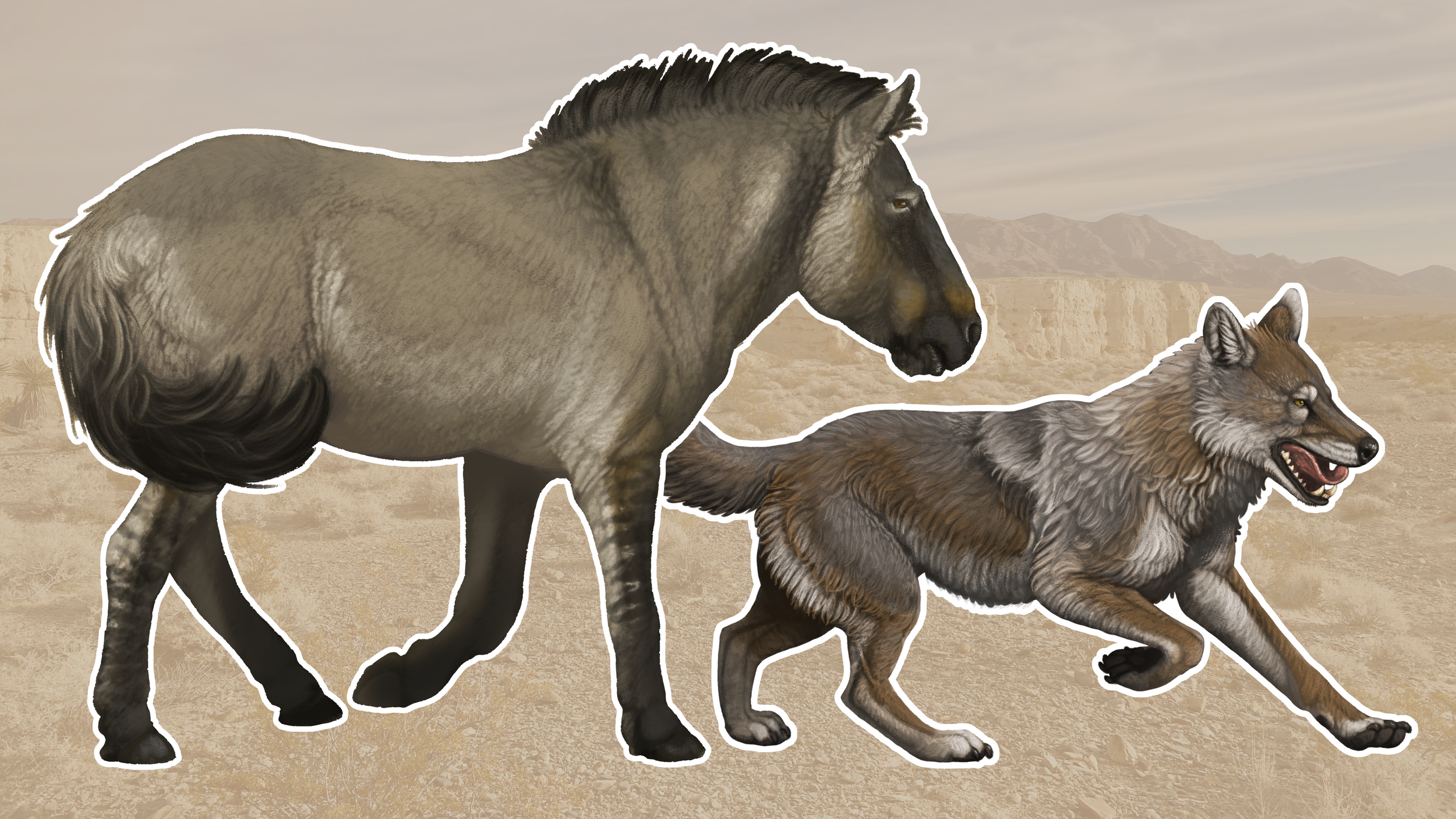 Equus scotti and the Dire Wolf