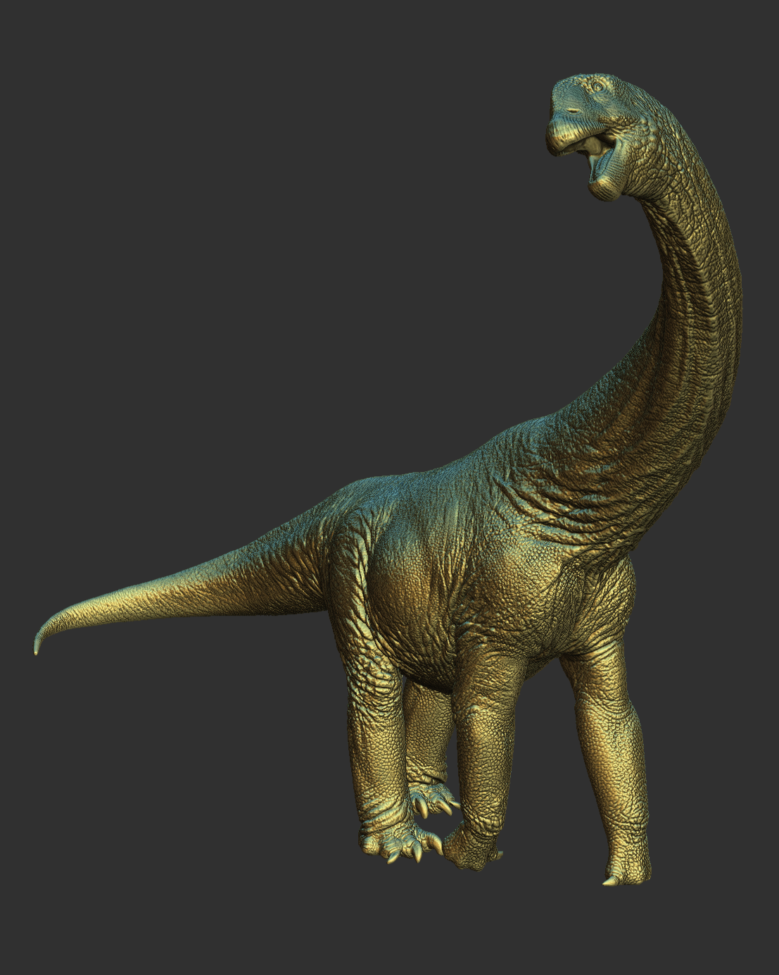 Camarasaurus_perspective.png