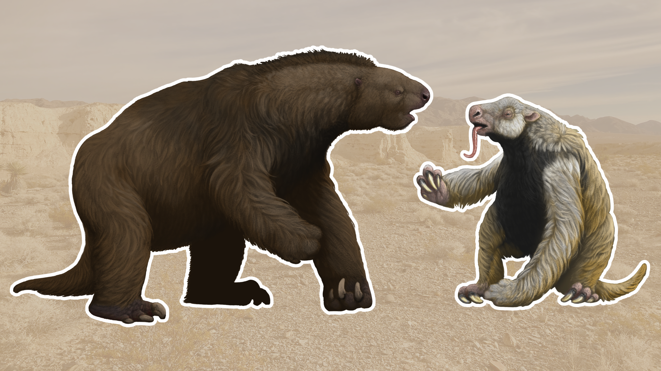 Megalonyx and Nothrotheriops