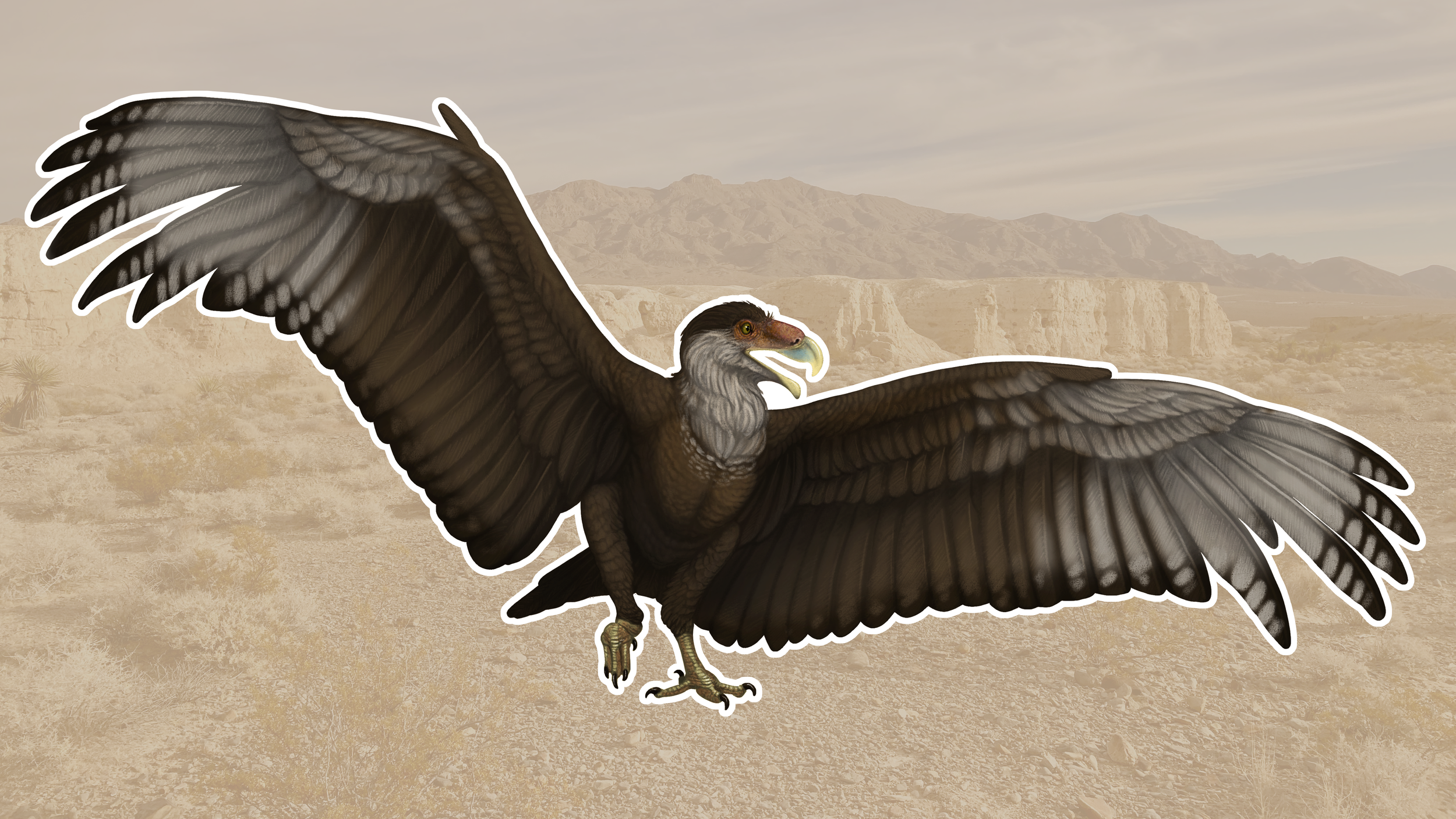 Teratornis