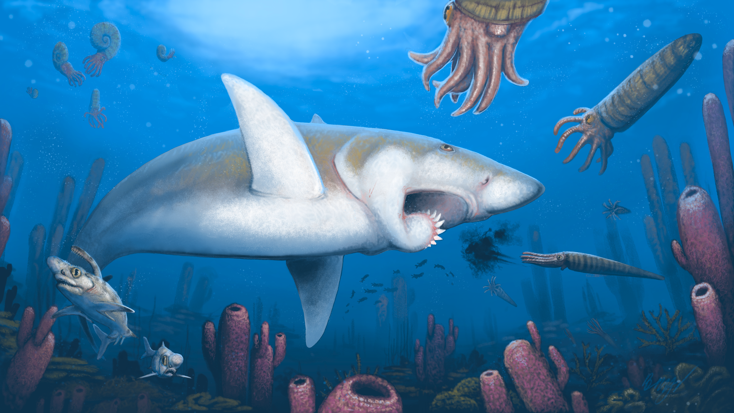 A violent escape from Helicoprion in the Guatalupe Reef Formation, NM
