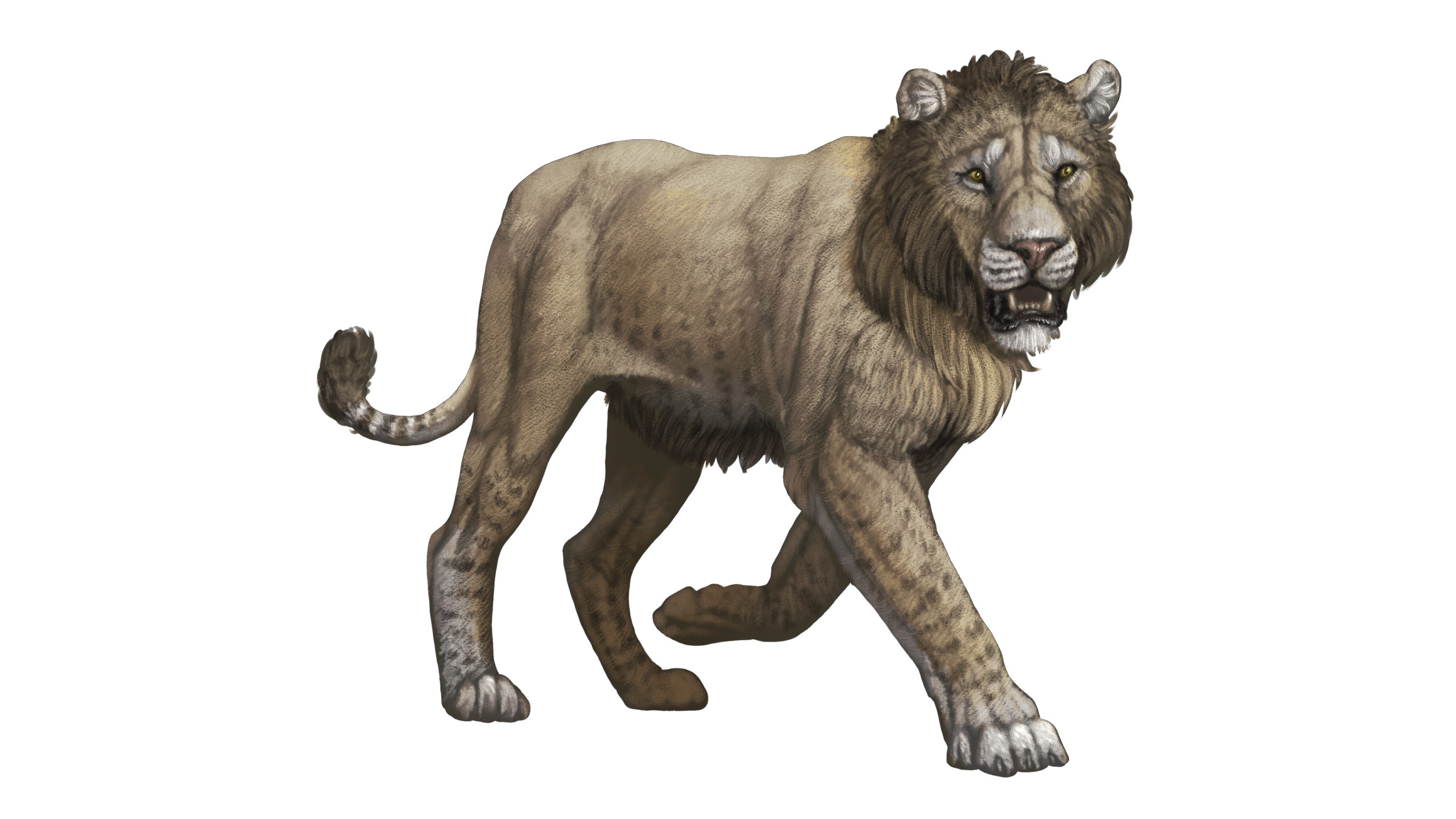 American Lion