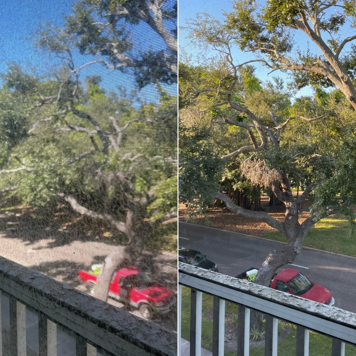 Before/After Window Cleaning in Venice, Florida