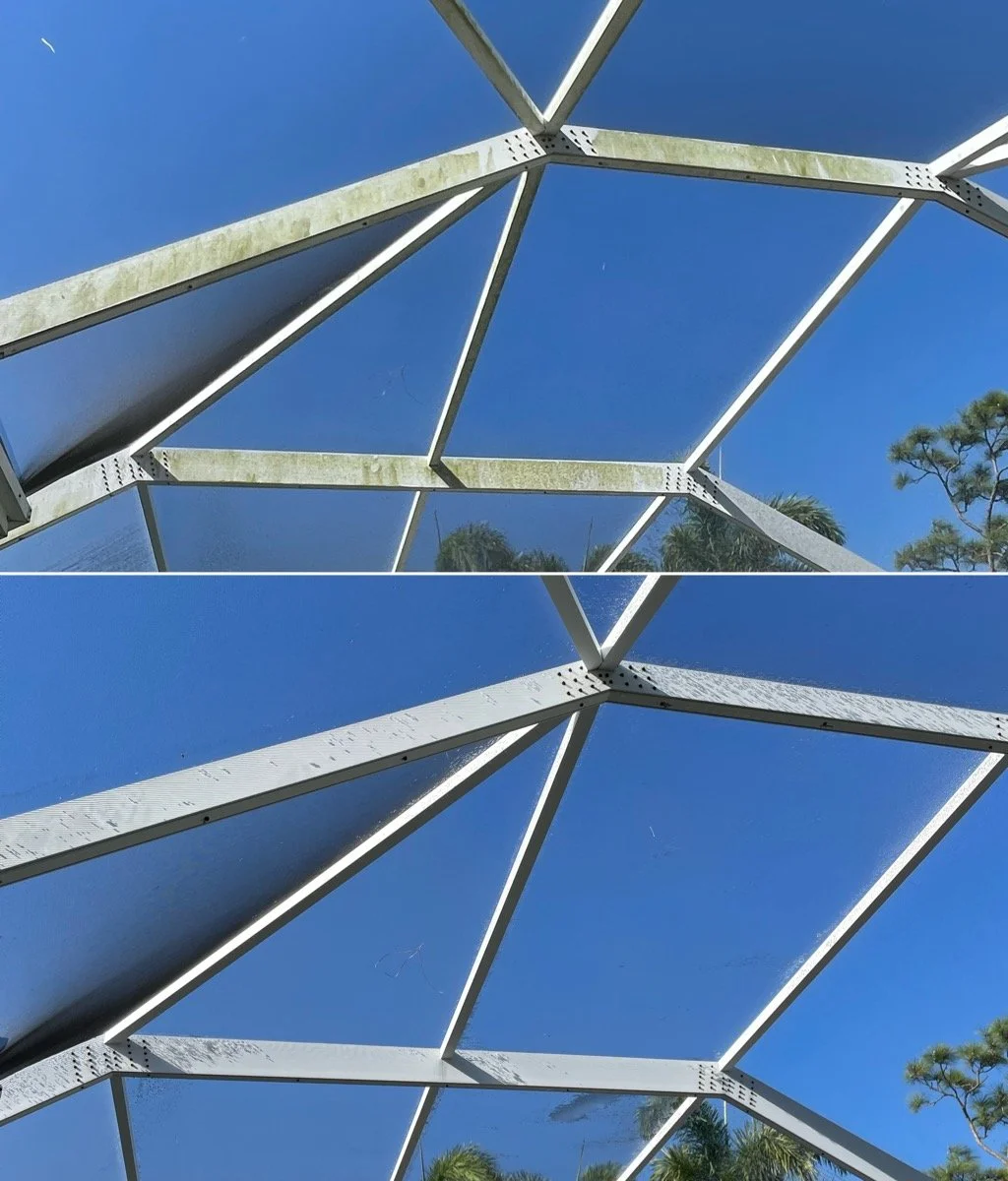 Pool Cage Cleaning