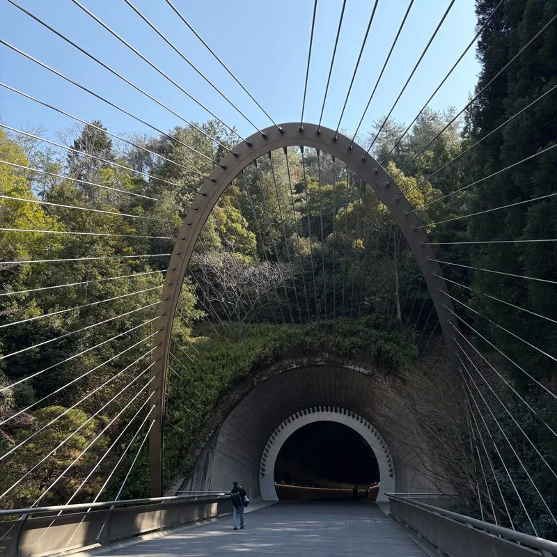 Miho Museum