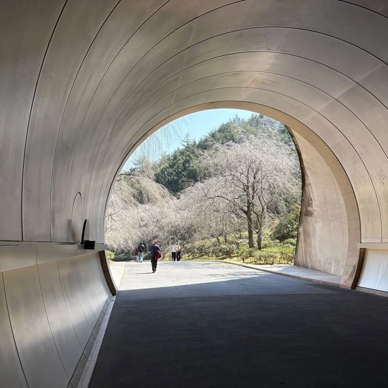 Miho Museum