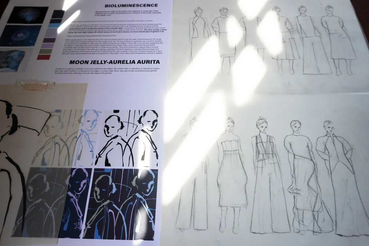 In-progress: Living Light, 2026