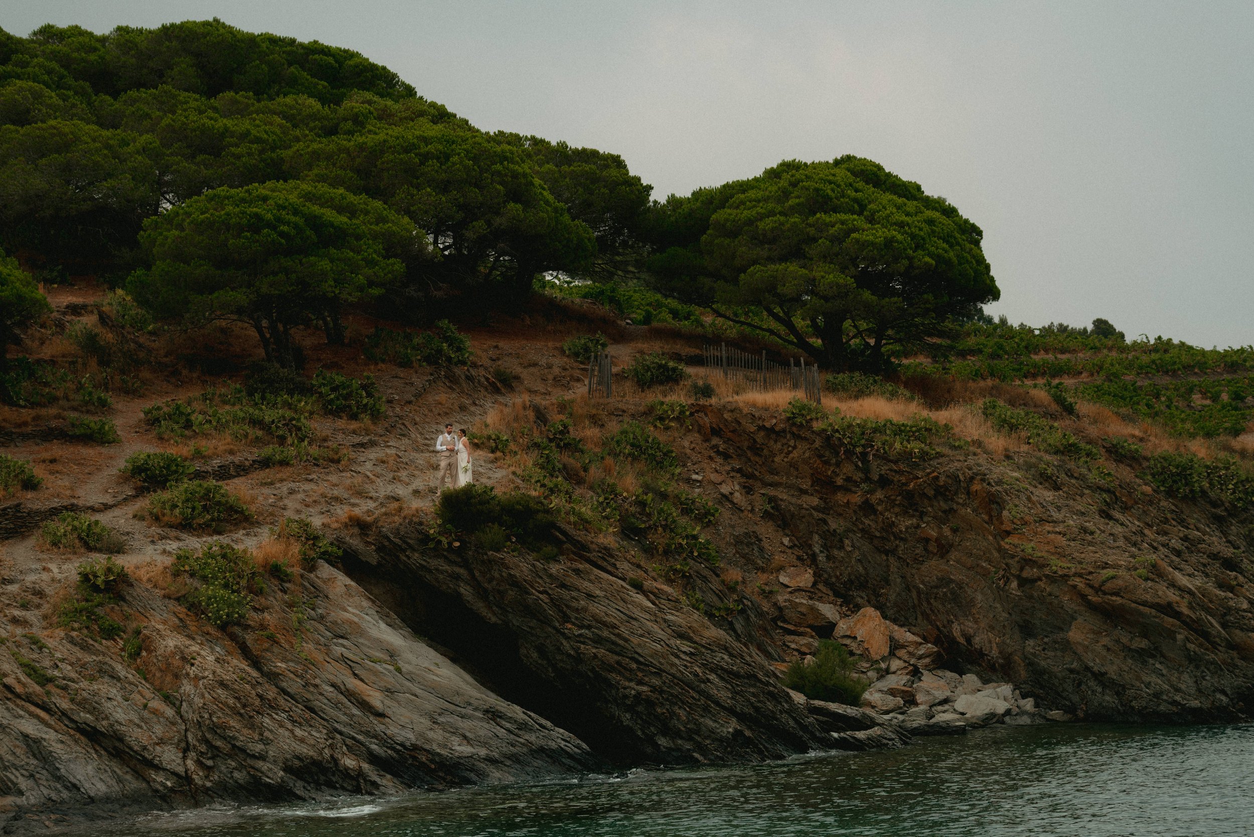D75_6628.jpg