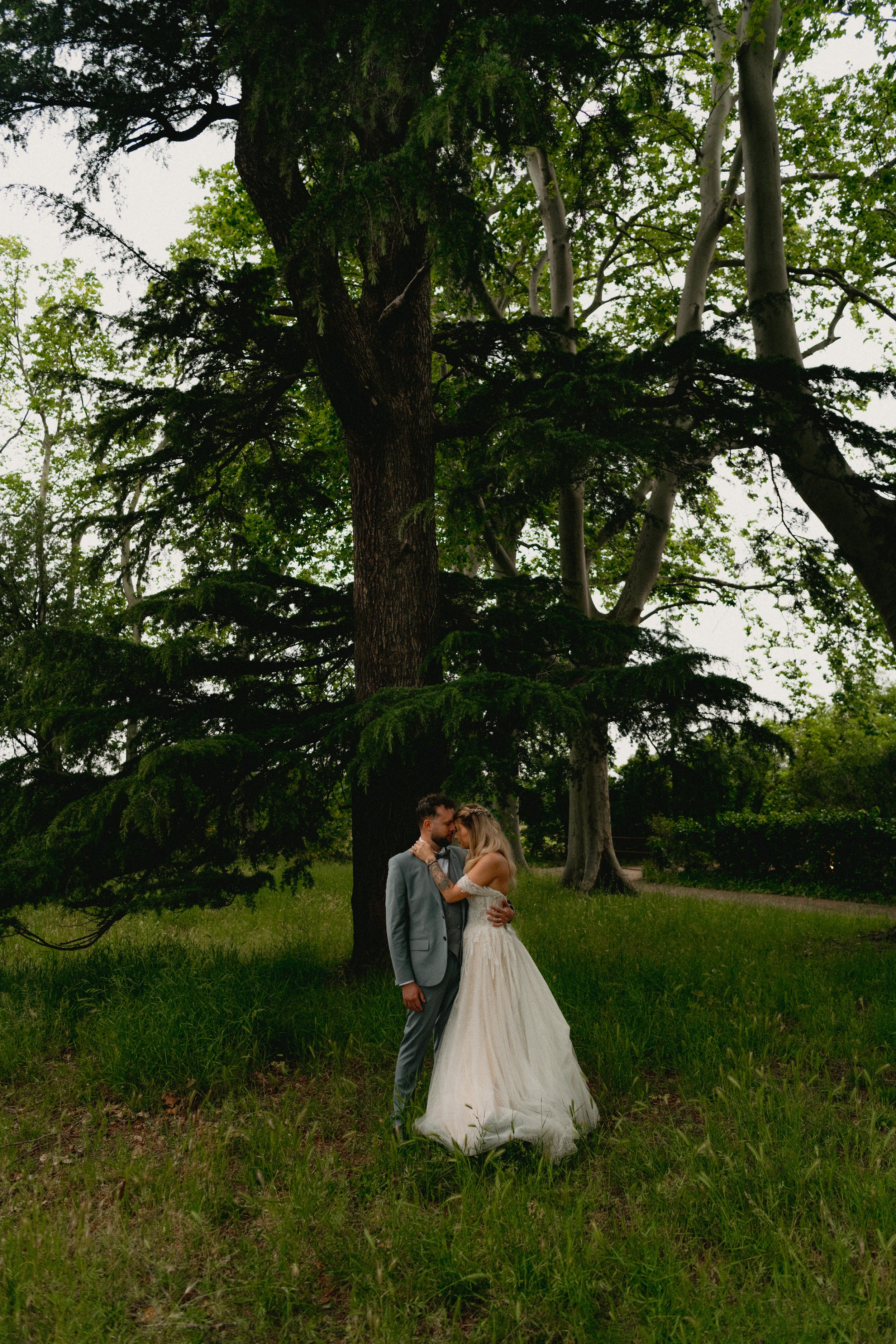 D85_2250.jpg