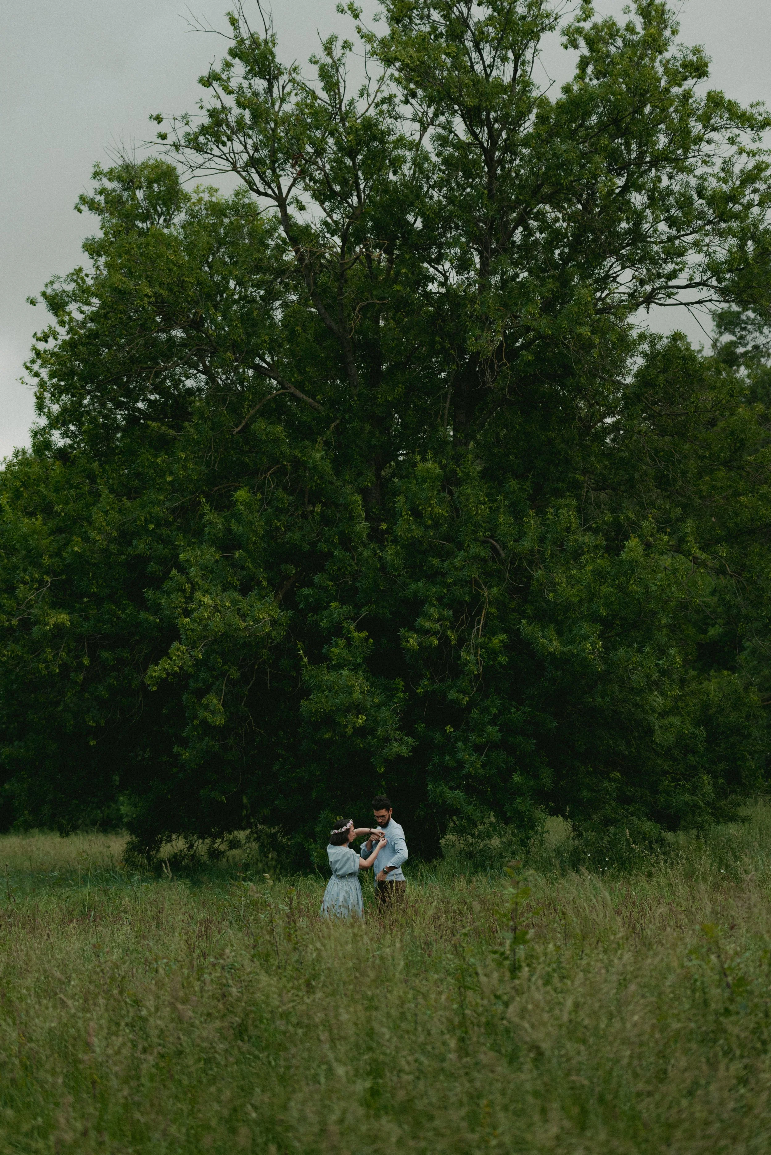 D75_4160.jpg