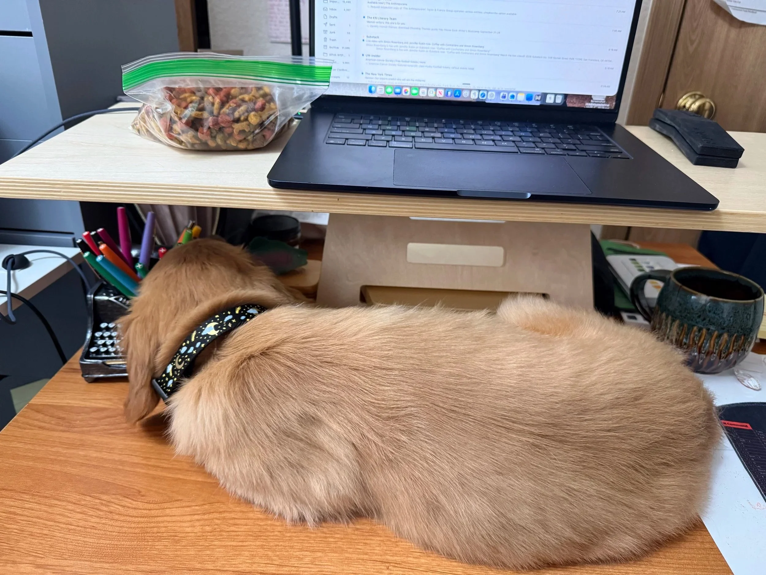 Artie goes to Work