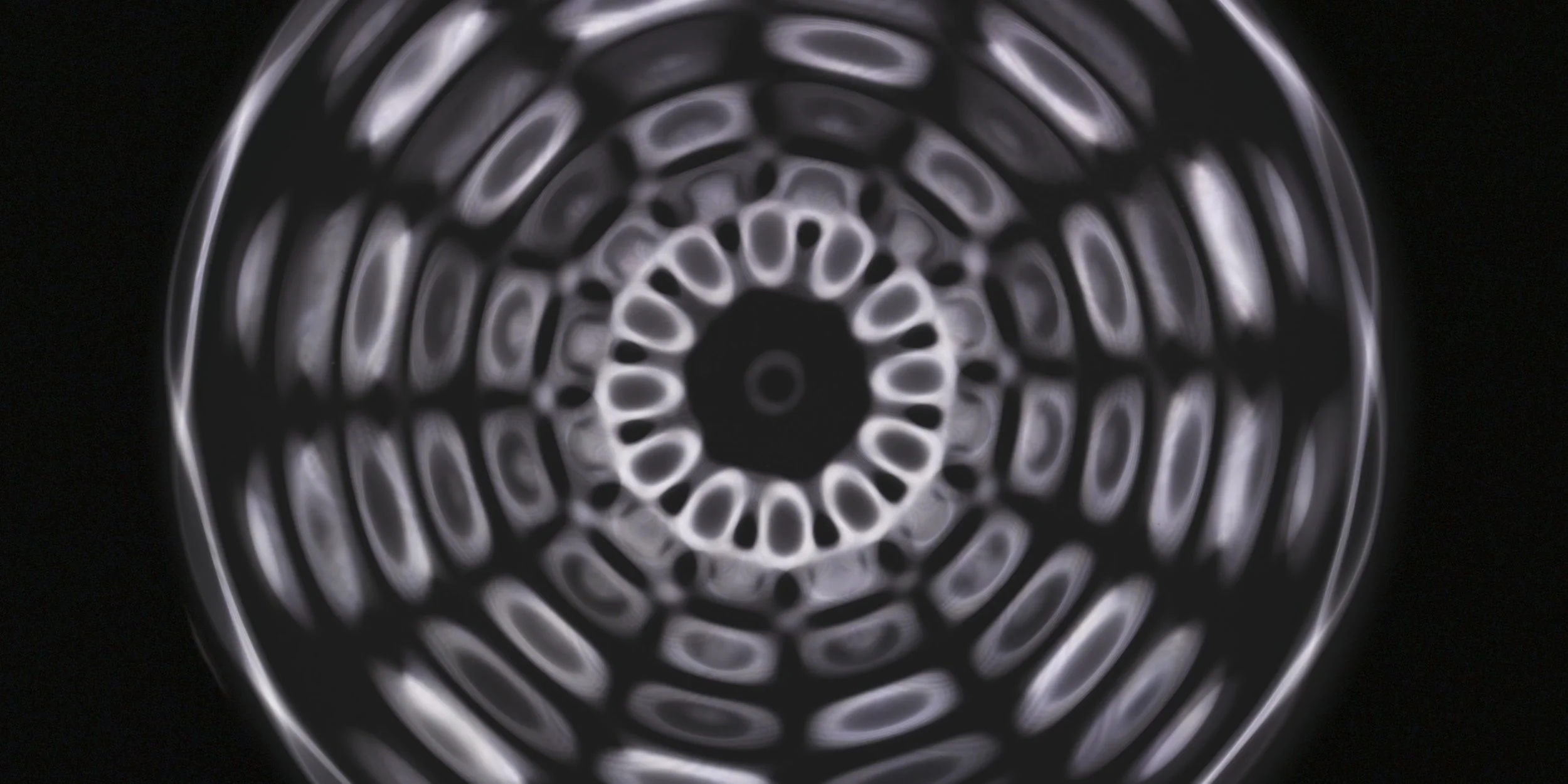 Phenomena - still - 015.jpg