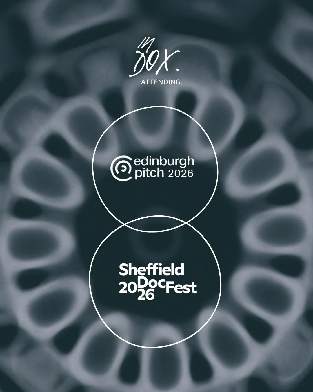INDOX attending @scottishdocinstitute Edinburgh Pitch / @sheffdocfest 2026

Founder Luke Brawley will be attending the industry programme for both events between the 8 - 13 June.

If you would like to arrange a meeting please reach out - luke@indoxfi