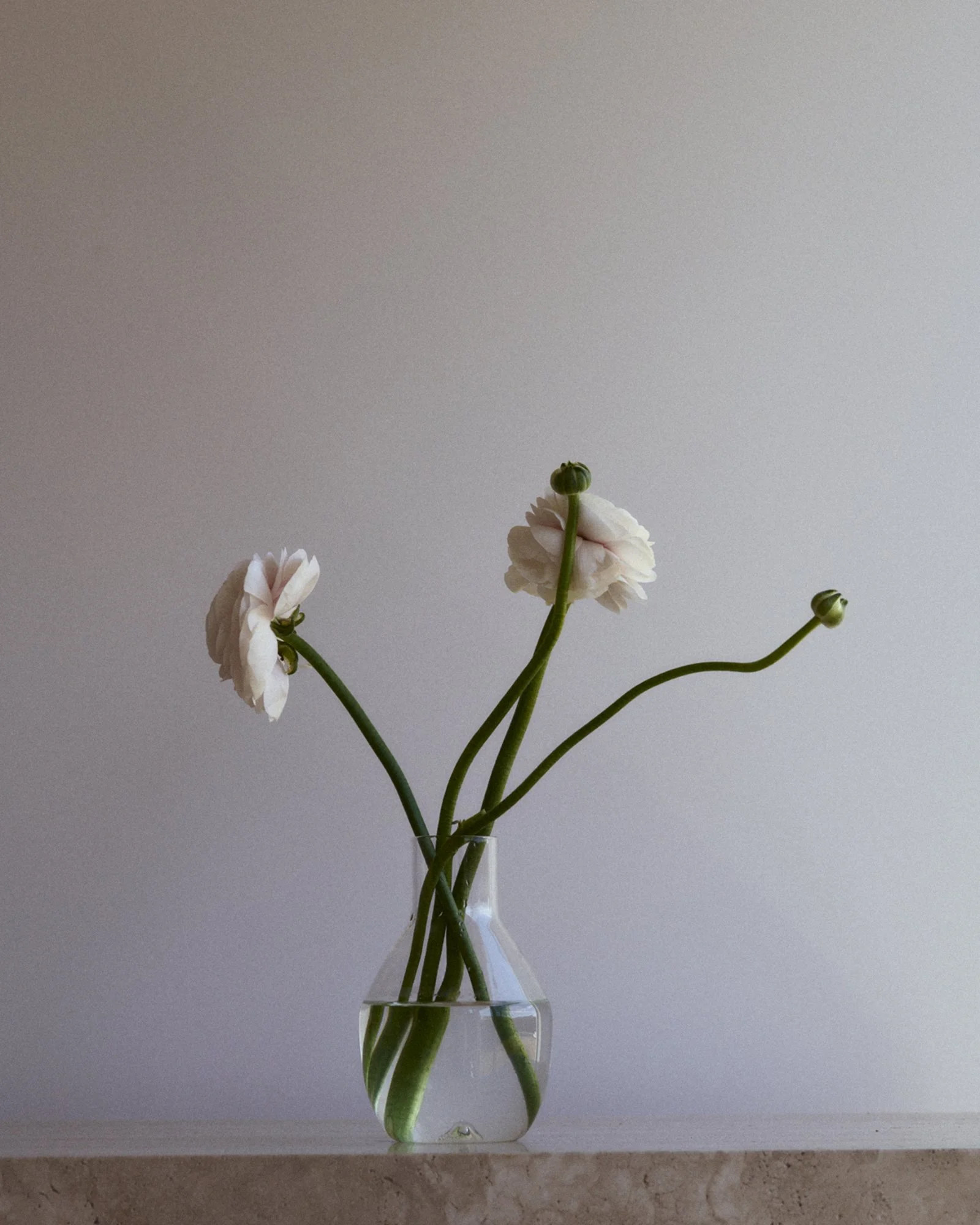 qq2025_03_07_BATHE77558 copy.jpg