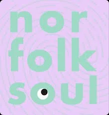 Reflexology Ear seeds Hannah Andrew Reiki