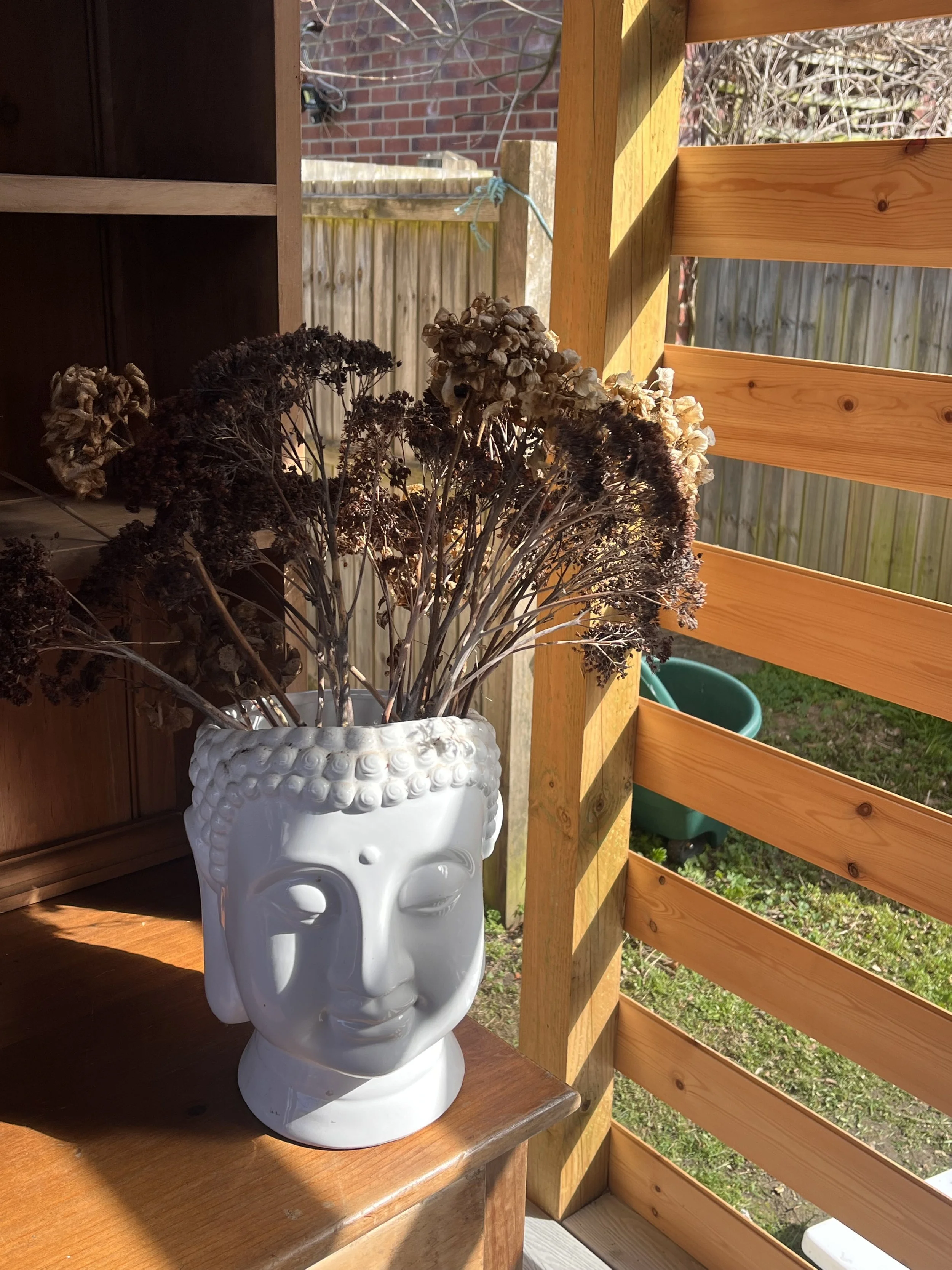 Garden shower, cold water therapy, cool off, wood fired sauna. Health Yourself. Harriets House. Coltishall


