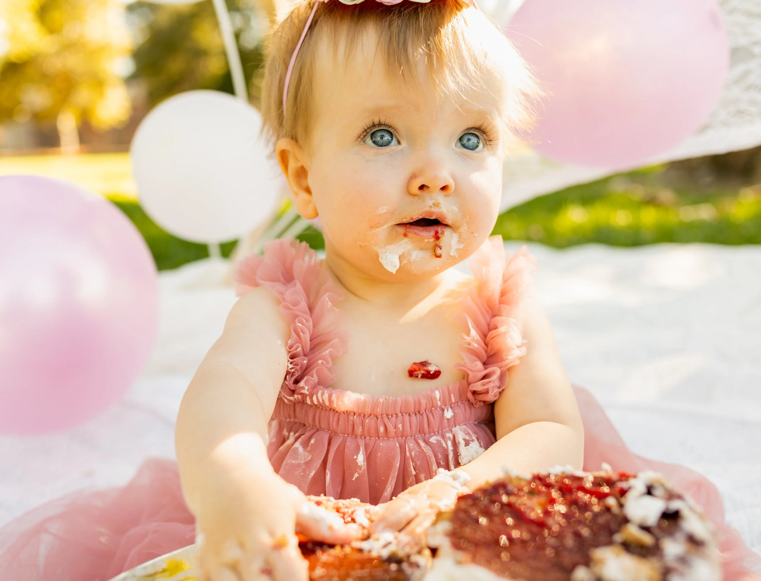 cakes smash studio Auburn ca.jpg
