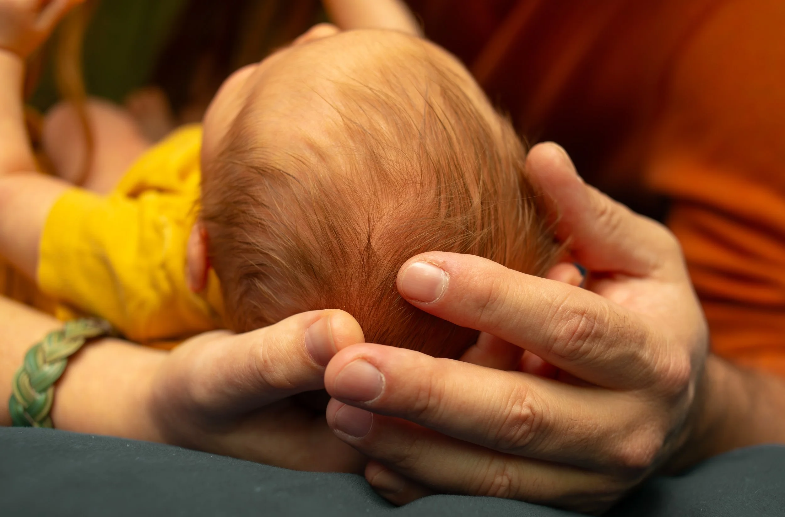 Newborn photographer in Auburn, CA