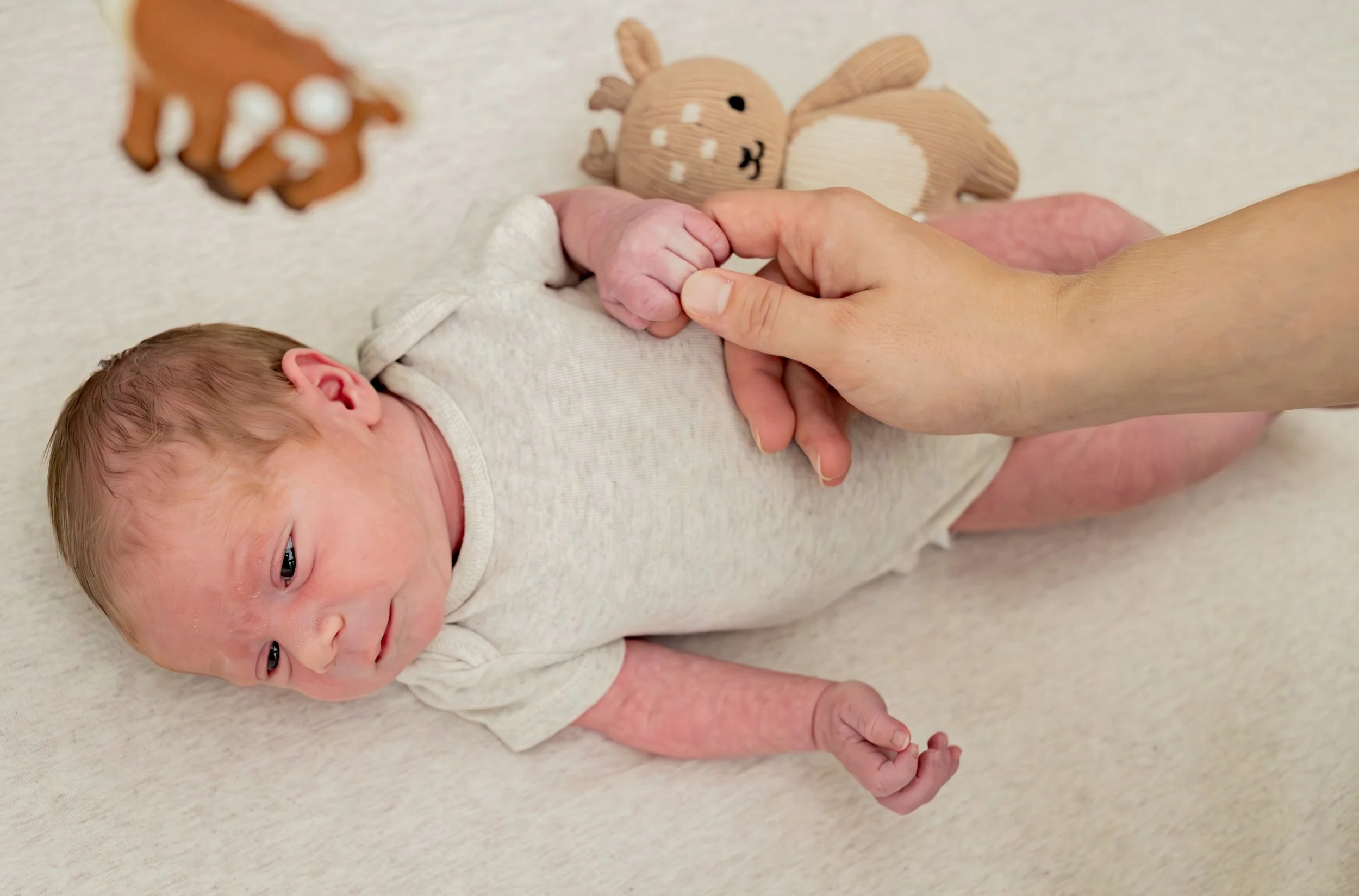 newborn photography near Granite Bay Ca.jpg