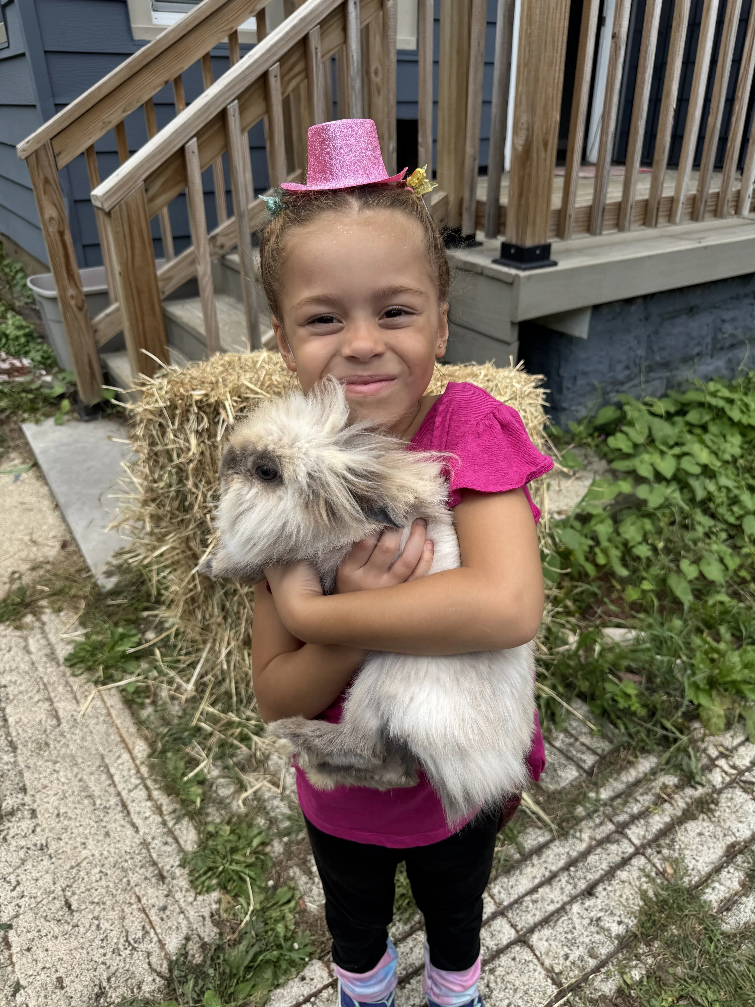 Private Mobile Petting Zoo Party 