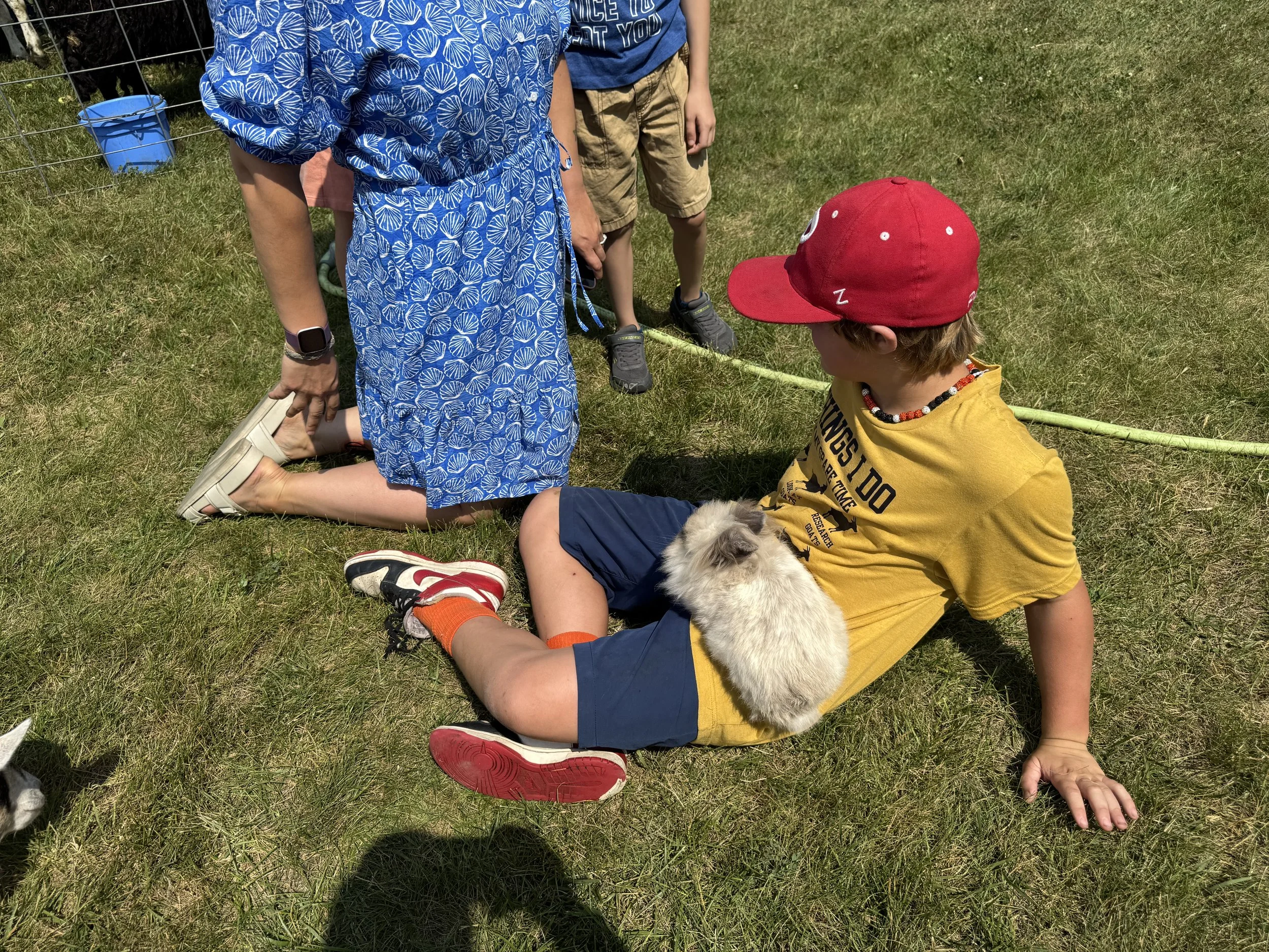 A group of children sitting and kneeling on grass during daytime, with a small white and gray puppy, surrounded by a yellow tape and a wire fence, and a blue bucket in the background.