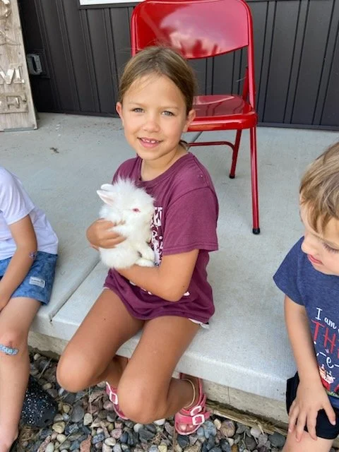A young girl sitting on a cement ledge holding a white rabbit, flanked by two children, with a red chair and gray fence in the background.