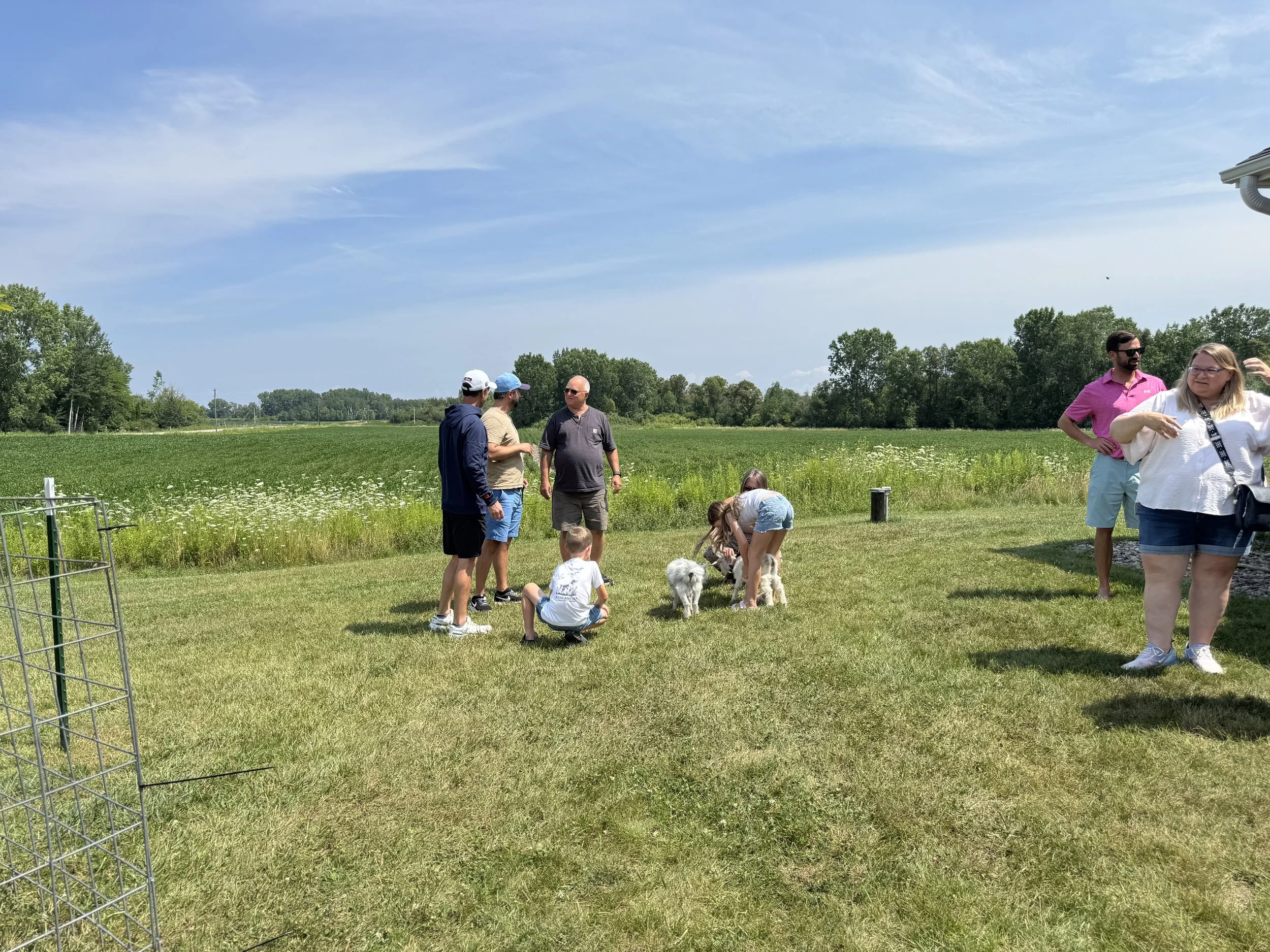 Group of people gathered outdoors in a field on a sunny day, with some children and dogs, and a blue sky overhead.
