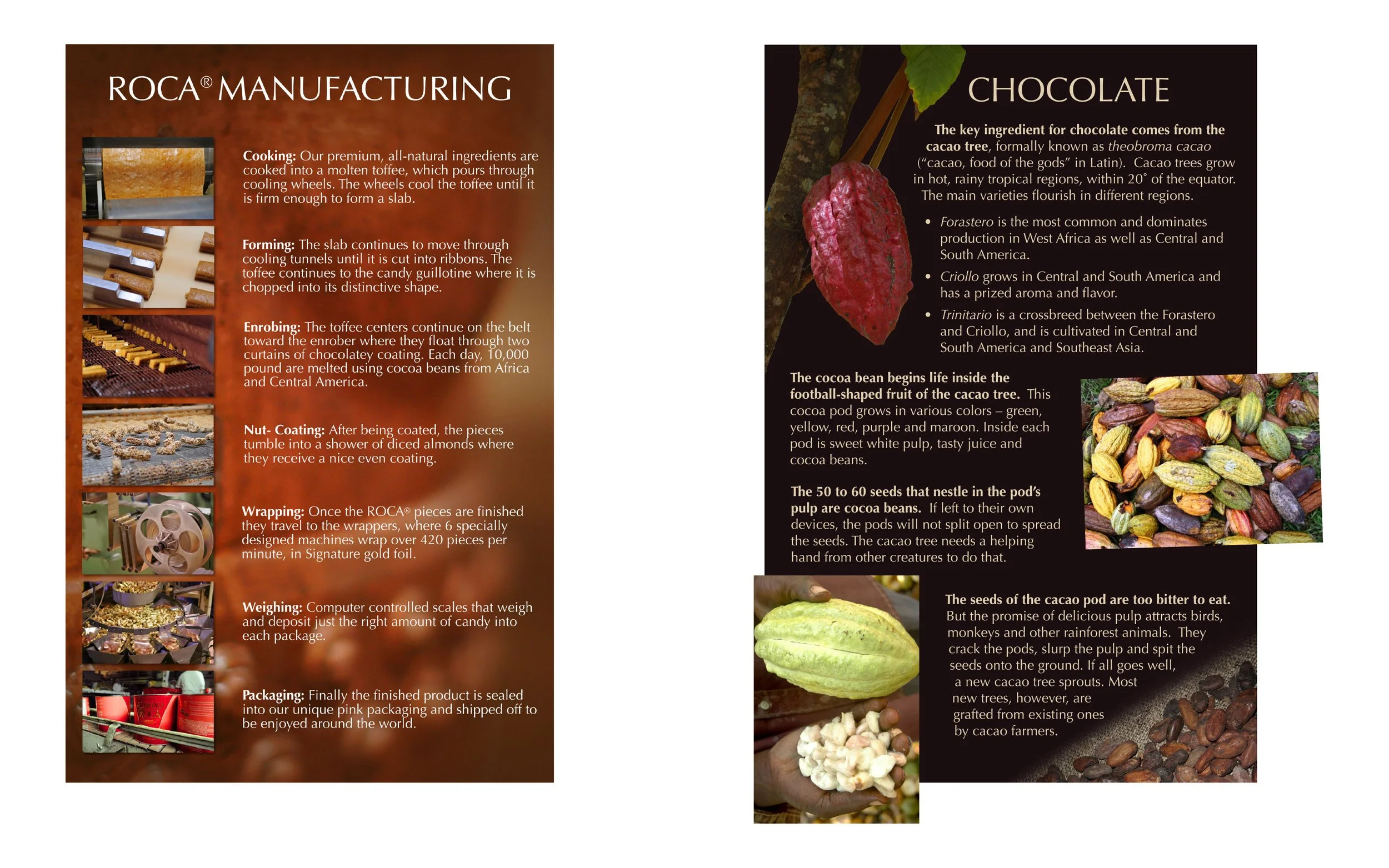 Served as lead designer for a 100-year-old confectionery enterprise, directing brand identity, product packaging, print collateral, and commercial photography.
Developed refreshed branding and packaging designs for Almond Roca, with Anton Kimball Des
