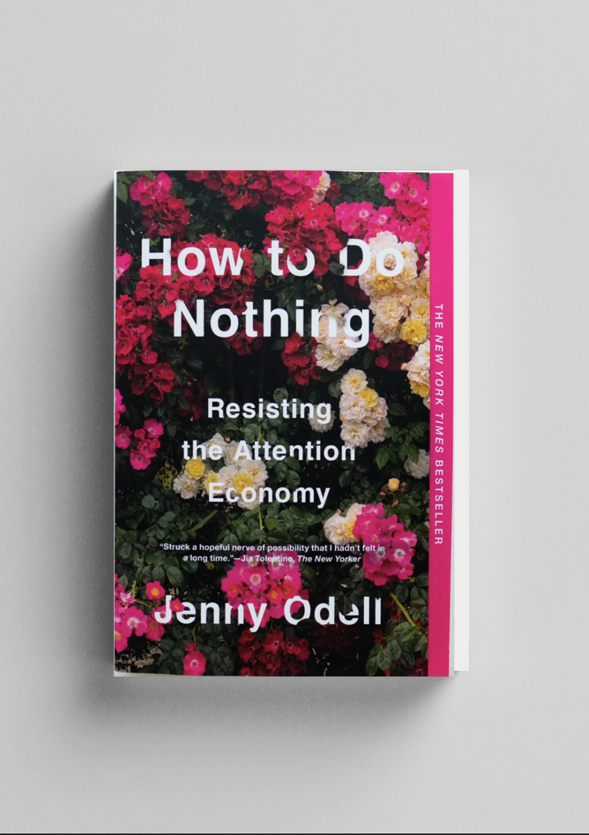 Screen Shot 2024-09-23 at 2.17.29 AM.png