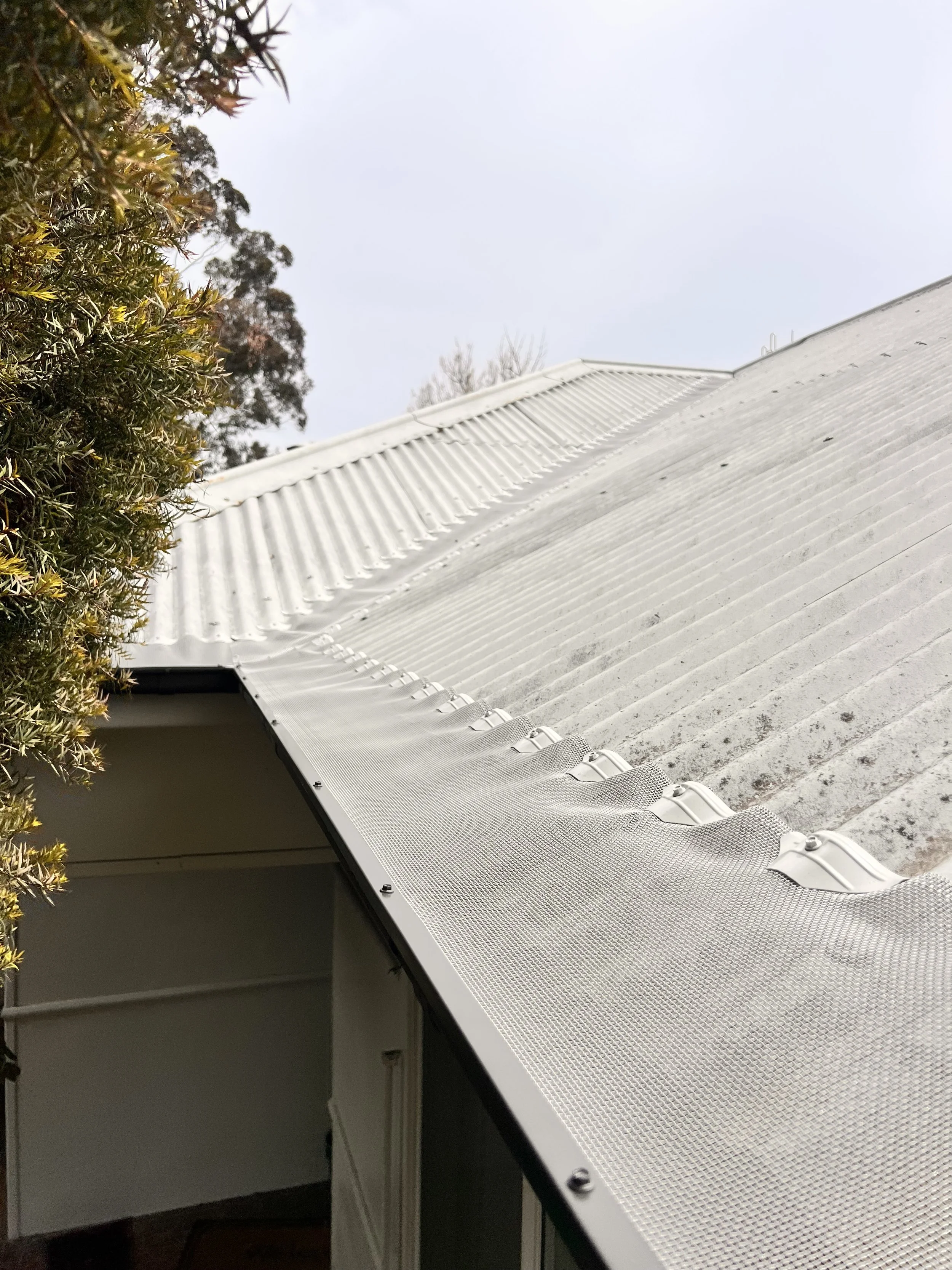 How Ember Guard Mesh Protects Your Home in NSW Bushfire Zones (BAL-Rated Guide)