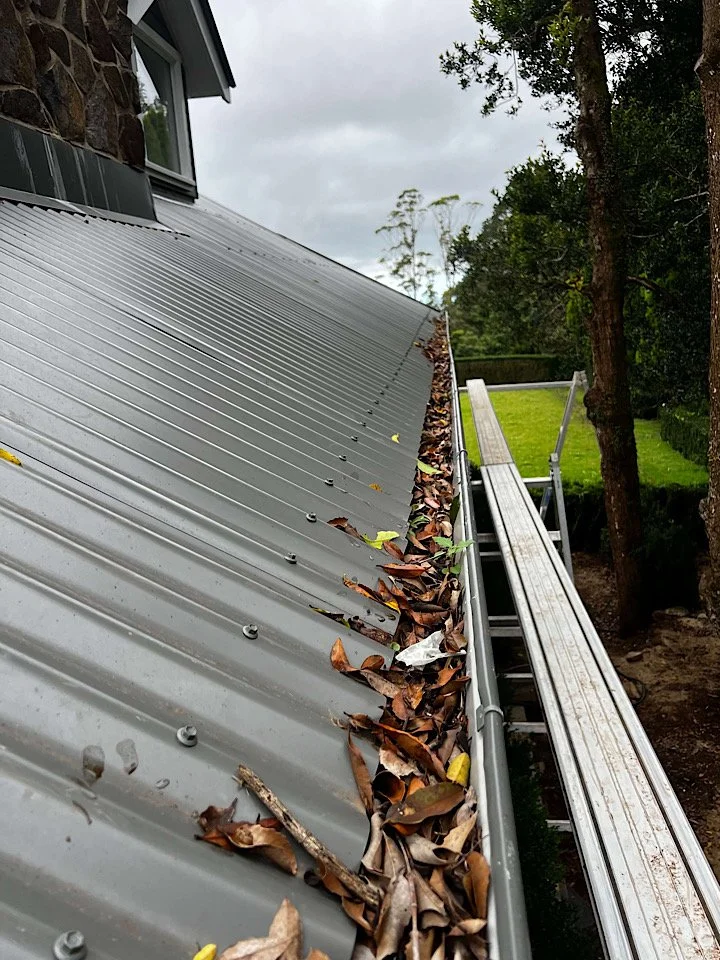 Do I Really Need Gutter Cleaning if I Have Gutter Guard Installed?