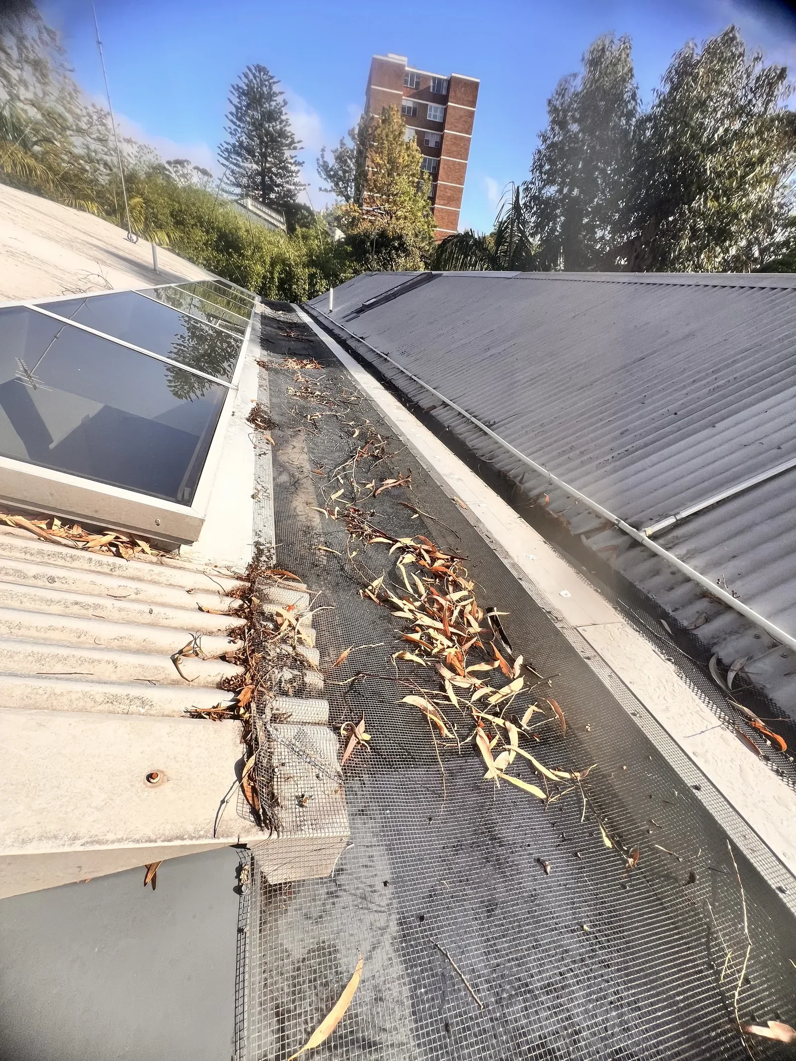 End-of-Summer Gutter Check in Wollongong: Why February Is the Most Overlooked Time for Gutter Problems