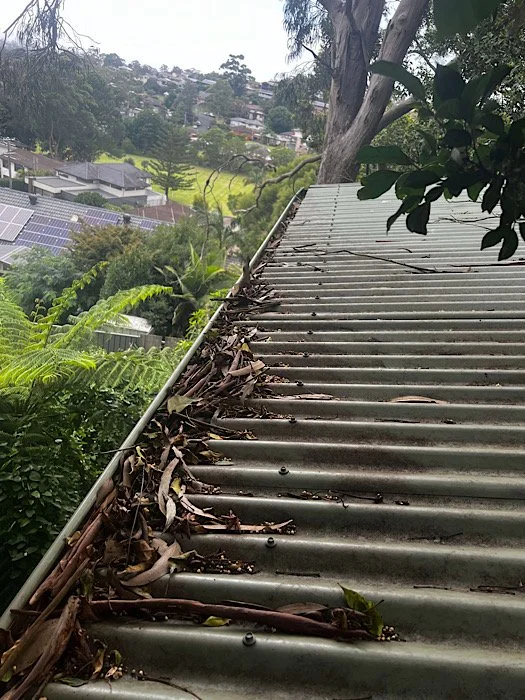 End of March Gutter Maintenance in Wollongong: How to Prepare for Heavier Autumn Rain