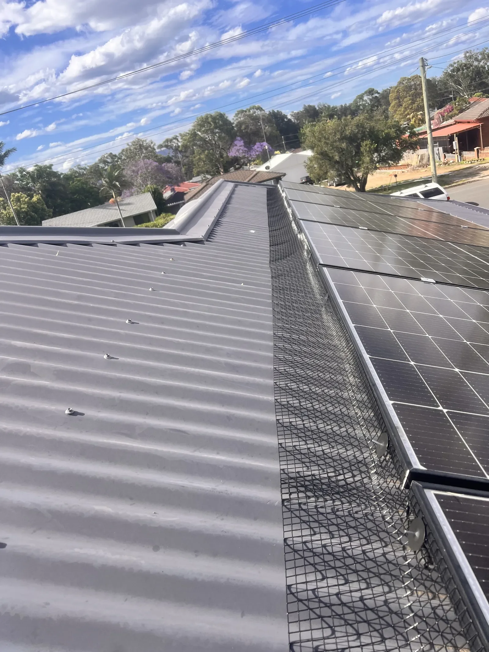 Solar panel bird mesh installed on a house in Kiama 