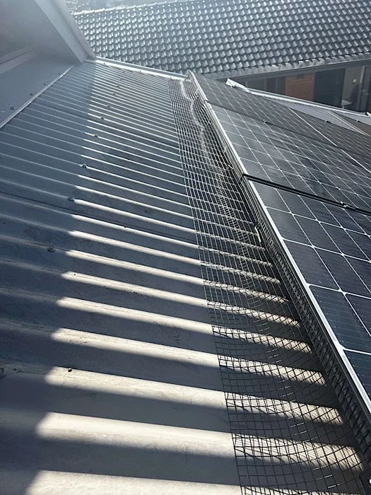 Close-up view of solar panels installed on a sloped rooftop with metal roofing and a metal grid safety mesh.