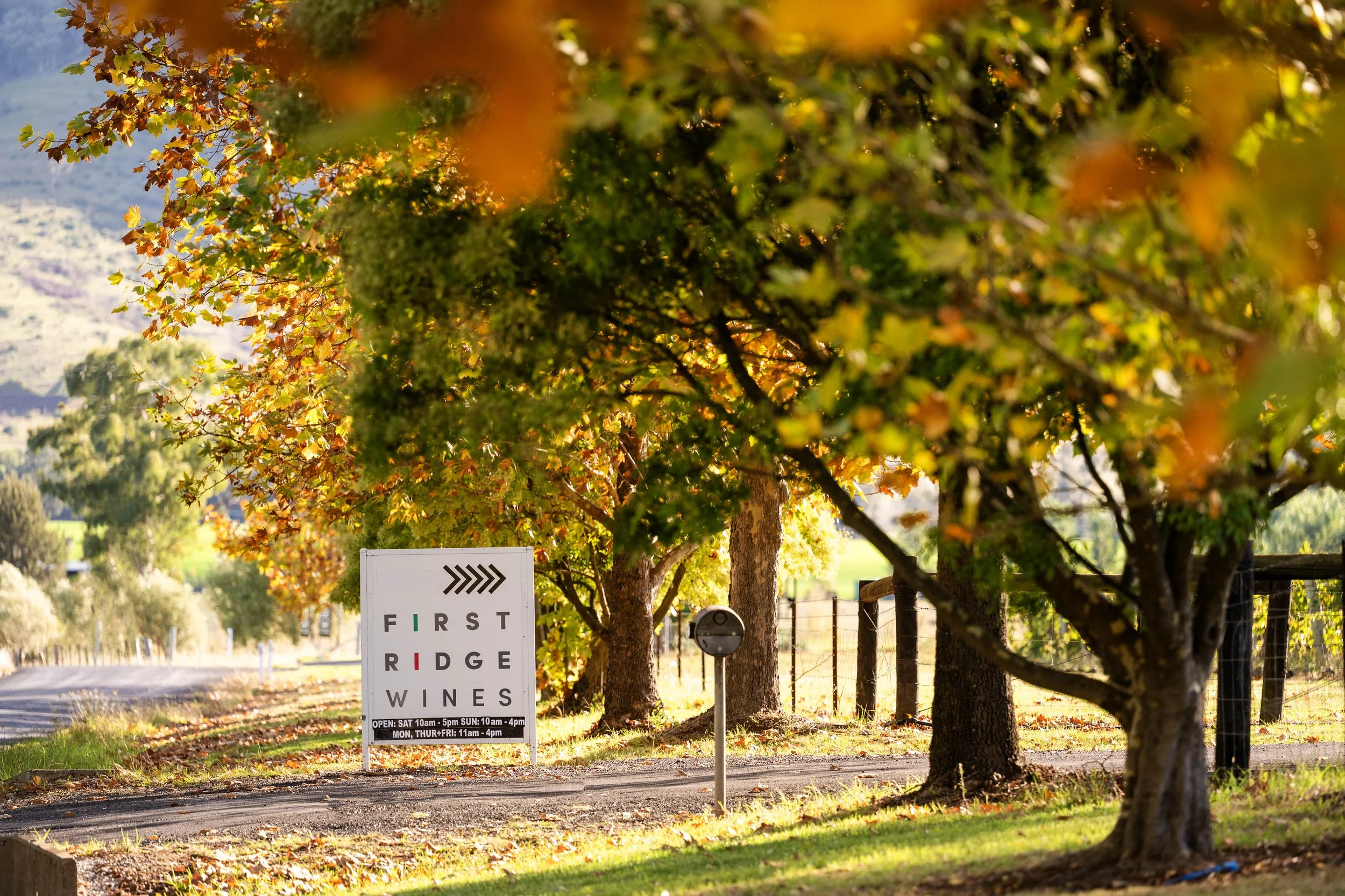 First Ridge Wines | Mudgee