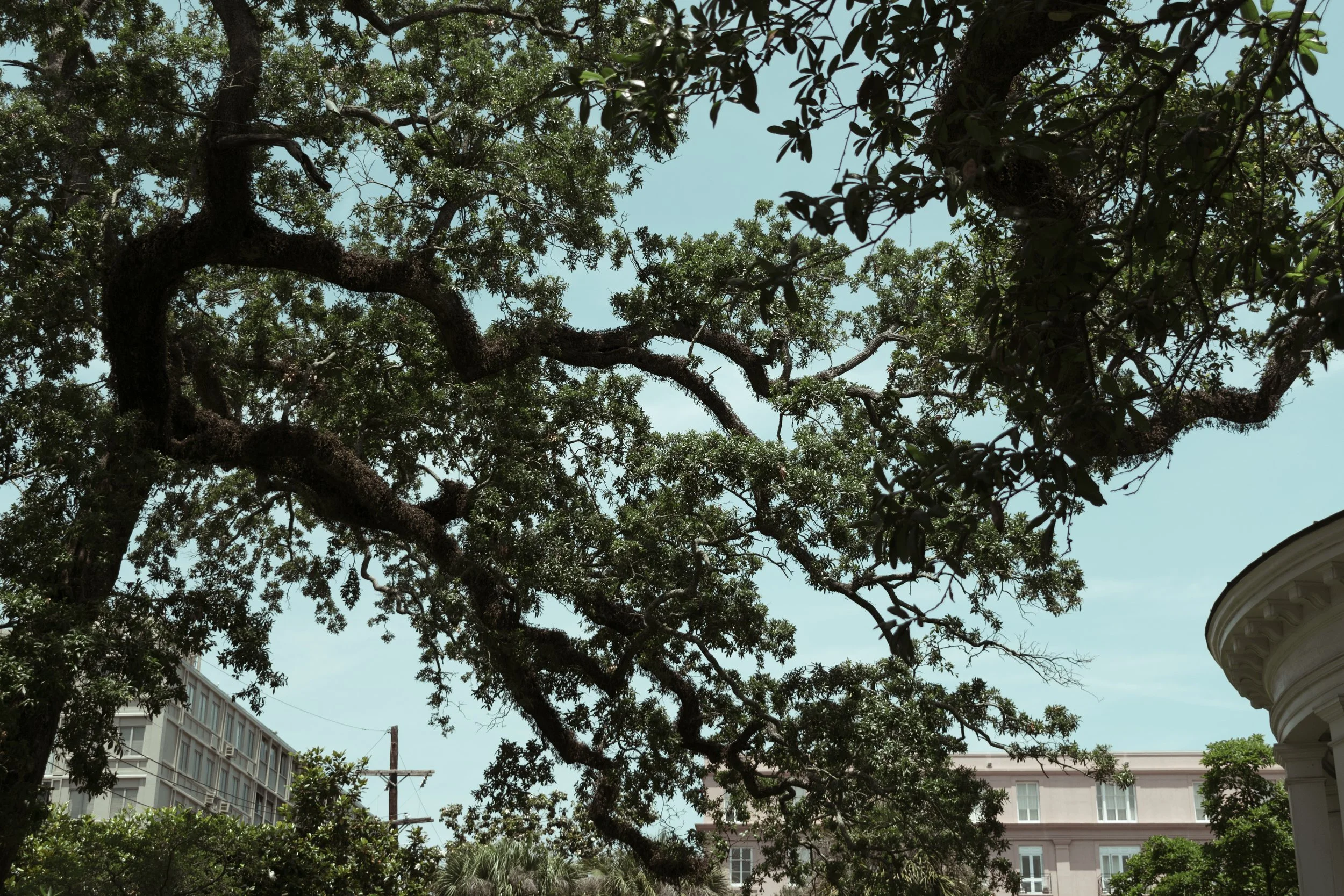 Untitled - May 2023 New Orleans, Louisiana DSLR