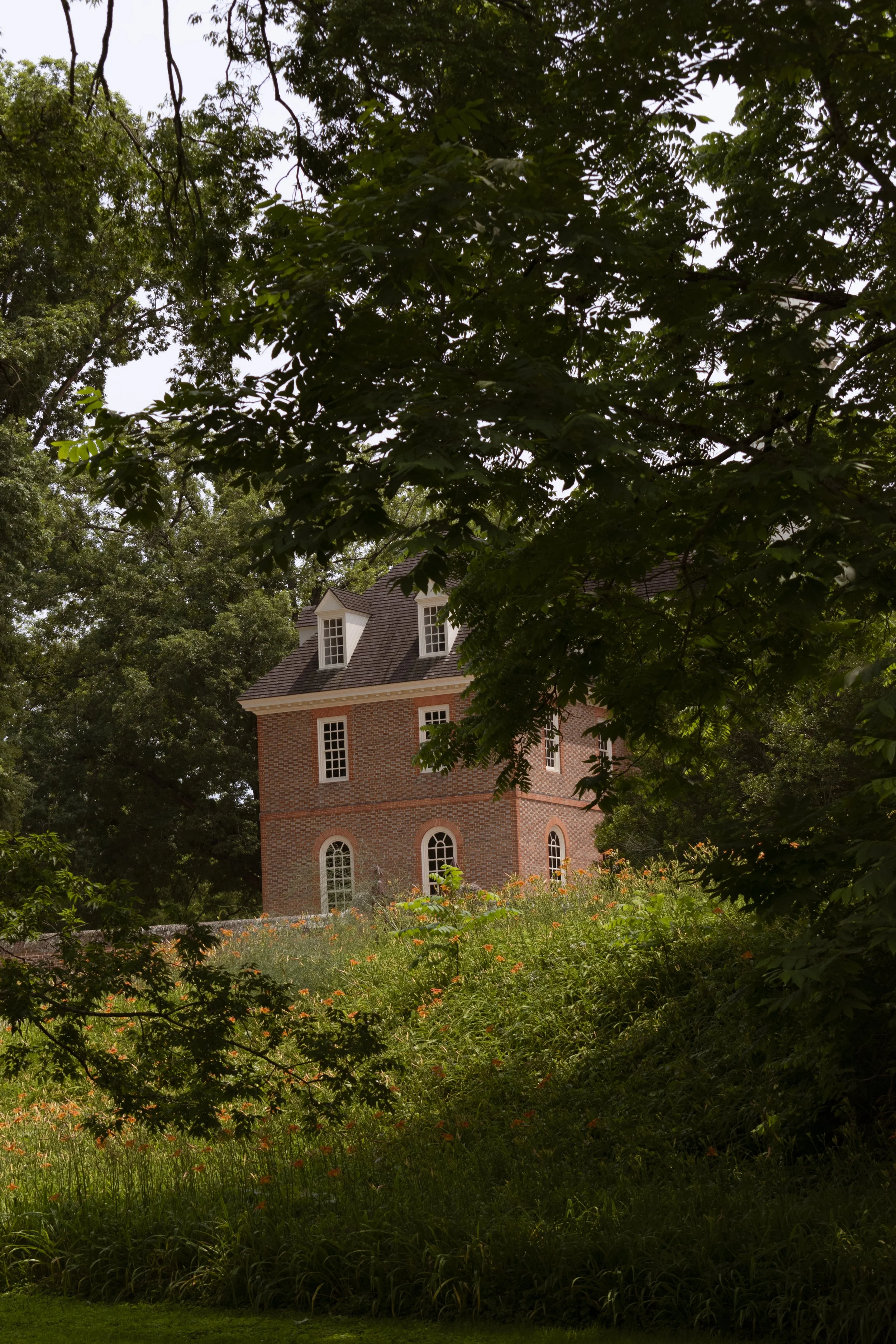Untitled, Colonial Williamsburg, Virginia Beach - July 2025