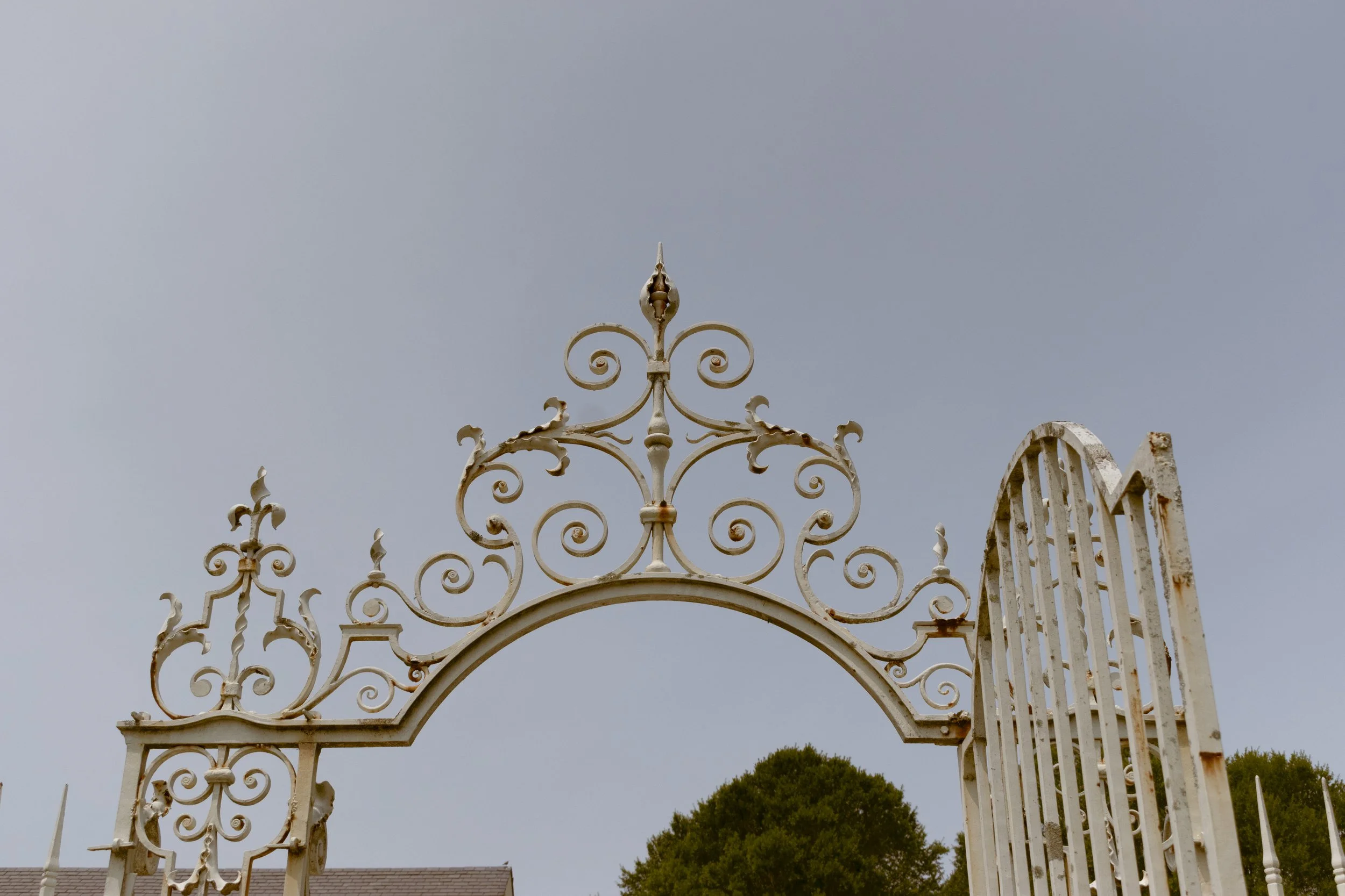 Untitled, Colonial Williamsburg, Virginia Beach - July 2025