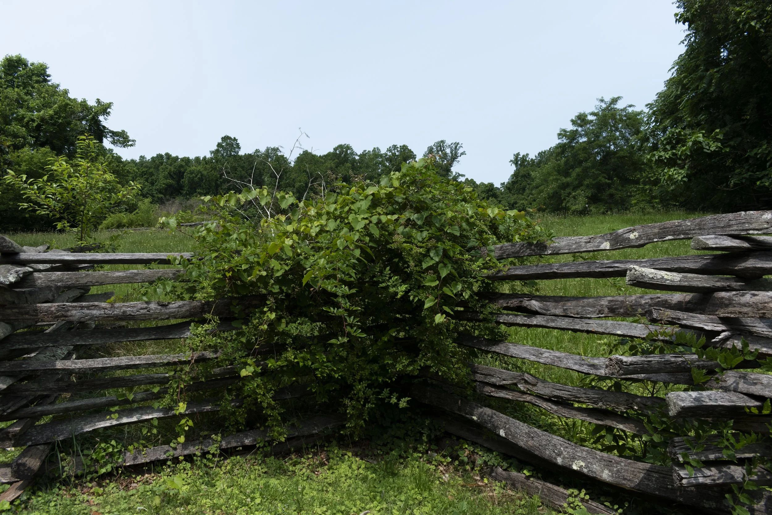 Gate, Colonial Williamsburg, Virginia Beach - July 2025